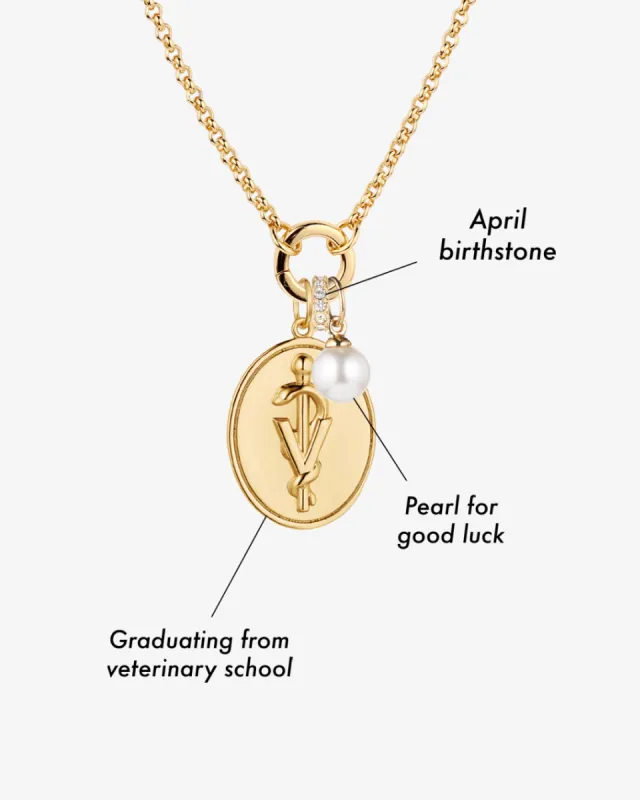 Charm Builder sold by V Coterie