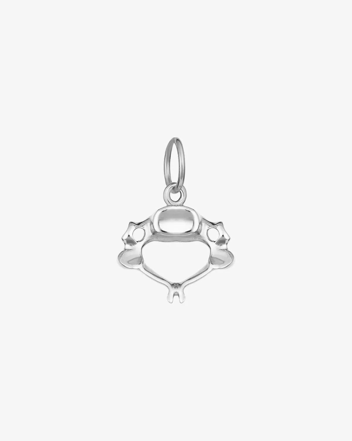 Cervical Vertebra Pendant Charm sold by V Coterie