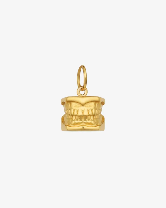 Typodont (Dental Model) Pendant Charm sold by V Coterie