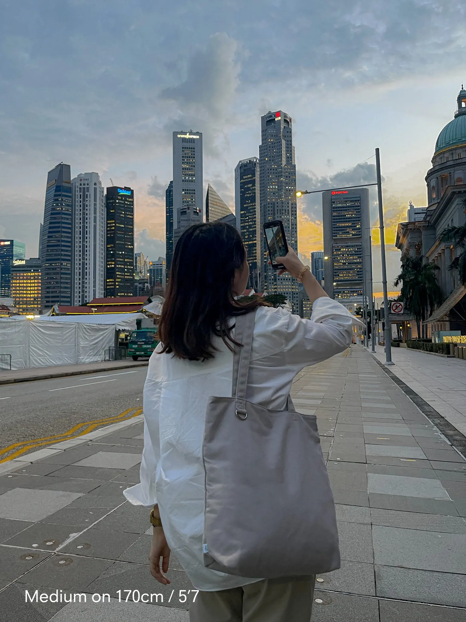 Everyday Tote (Canvas Fog) sold by Good Totes product image thumbnail 5