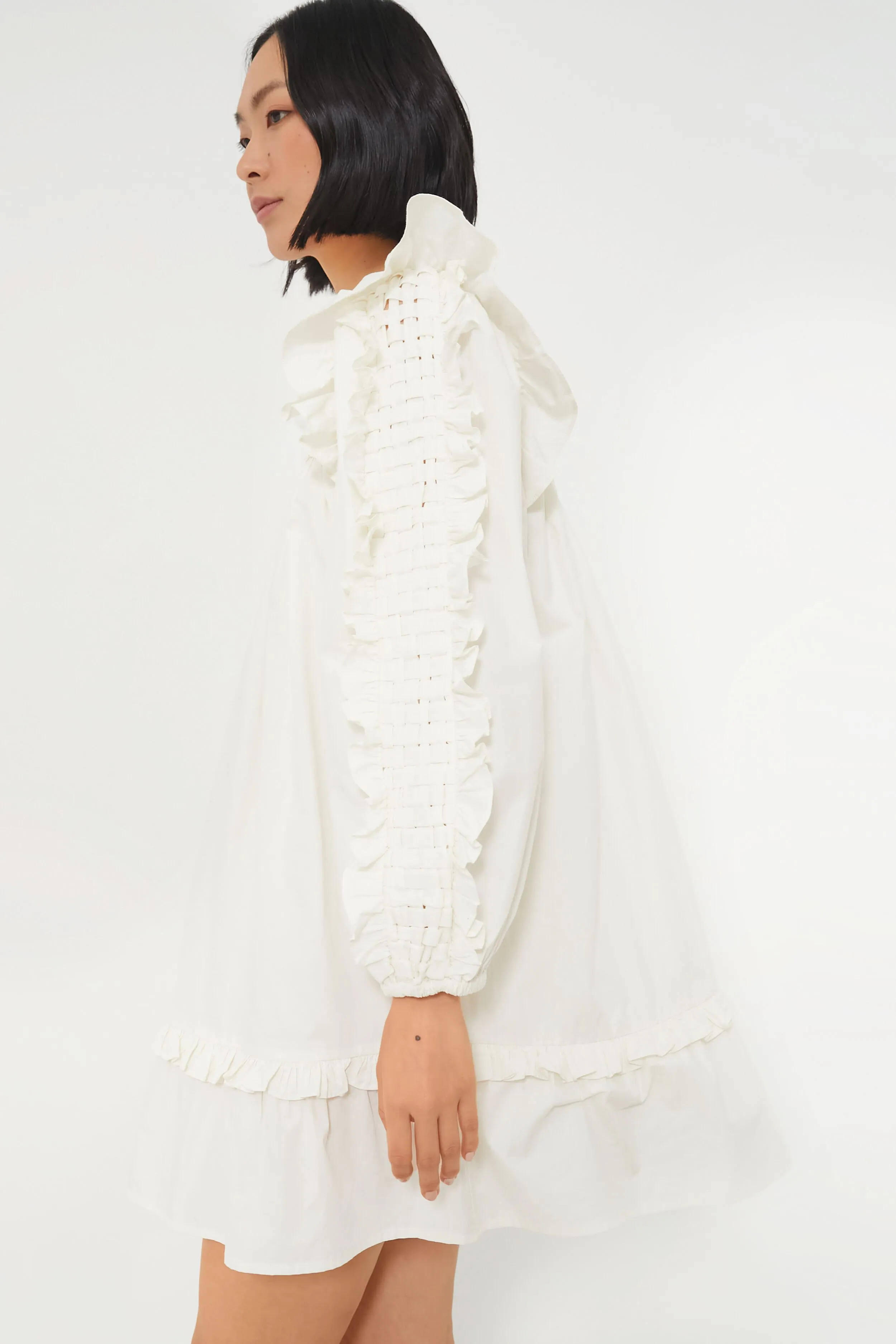 Ivory Anabelle Mini Dress sold by Tuckernuck product image thumbnail 3