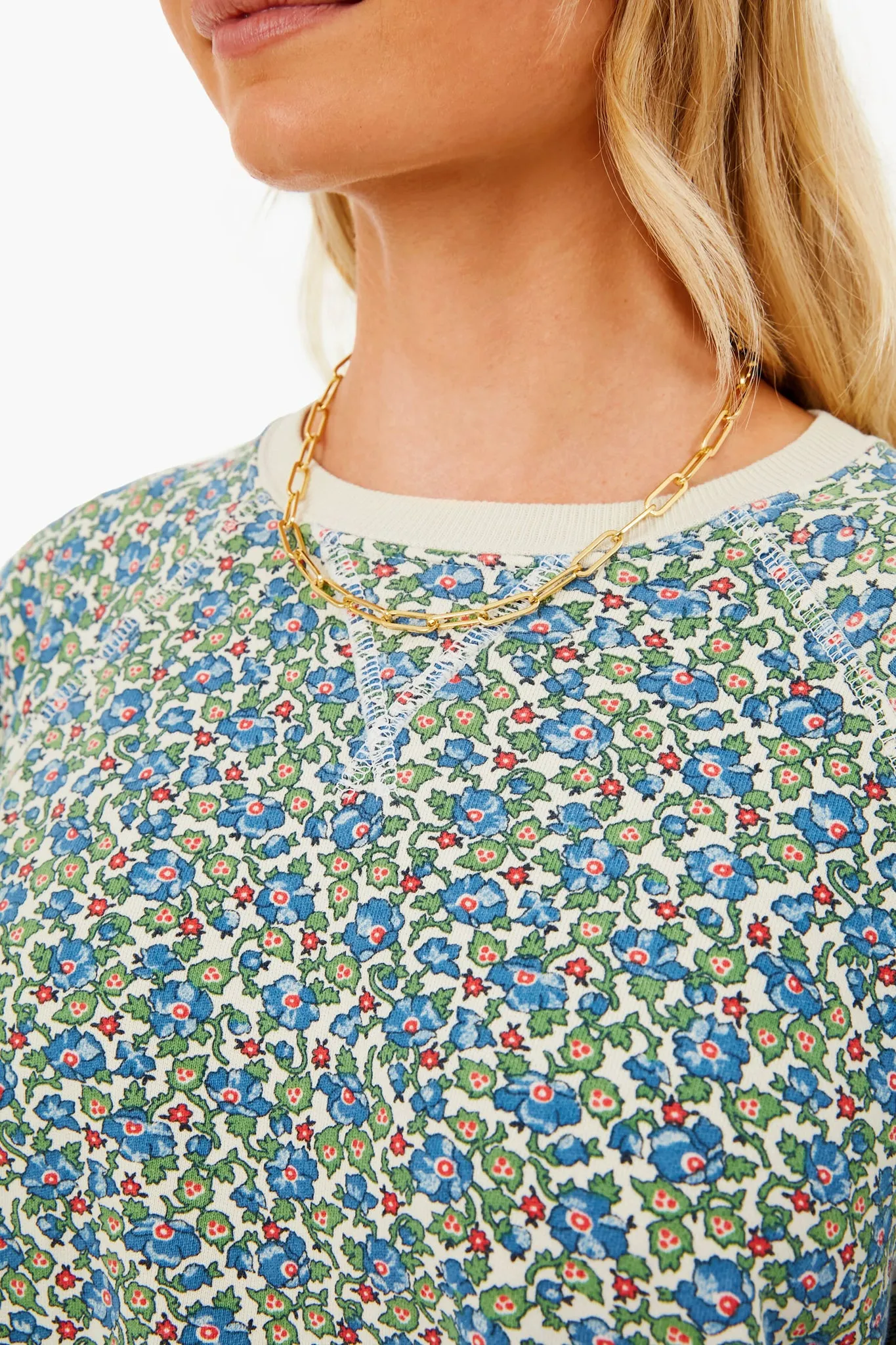 Cream Field Floral Slouch Sweatshirt sold by Tuckernuck product image thumbnail 5