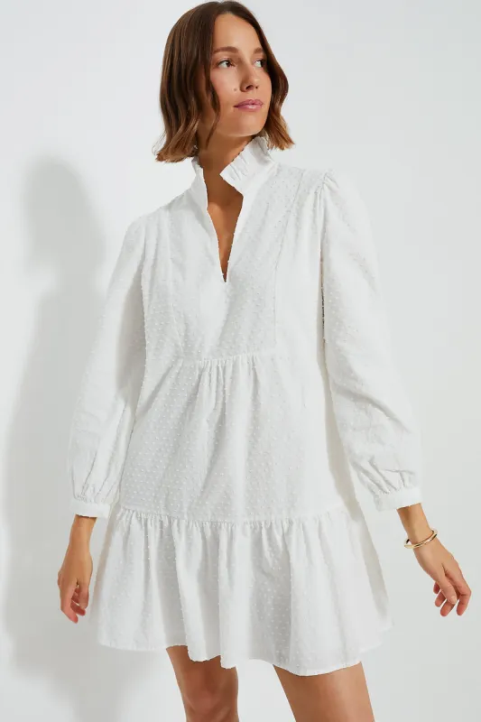 White Swiss Dot Palmerston Dress sold by Tuckernuck