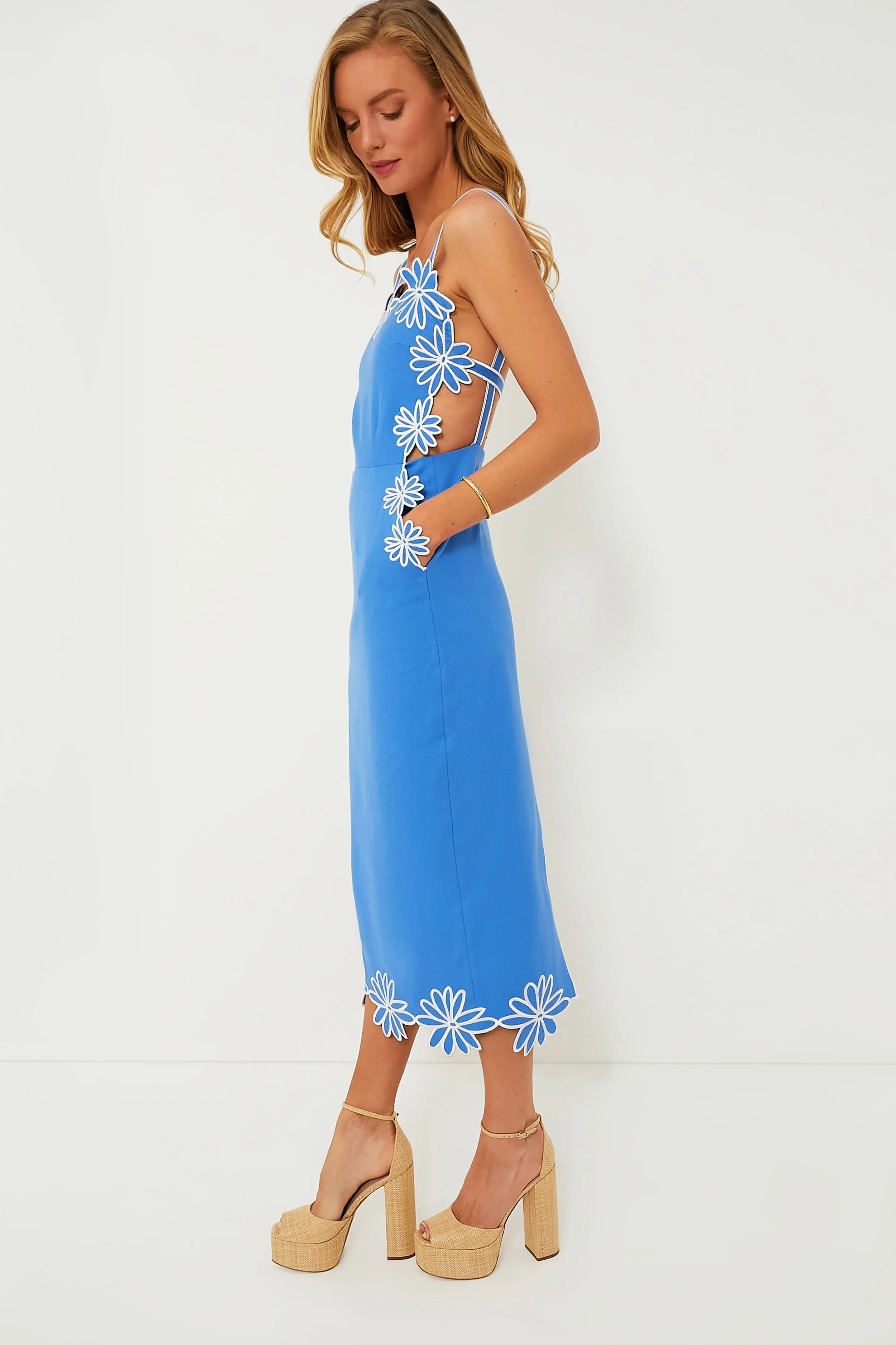 Blue Claudia Maxi Dress sold by Tuckernuck product image thumbnail 3