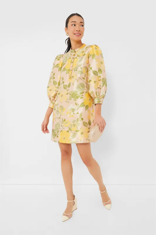 Daylily Jacquard Samantha Dress sold by Tuckernuck