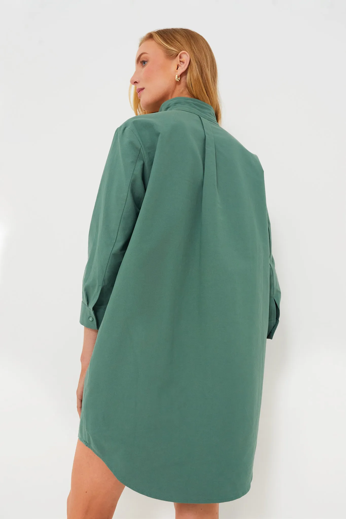 Green Polly Dress sold by Tuckernuck product image thumbnail 5