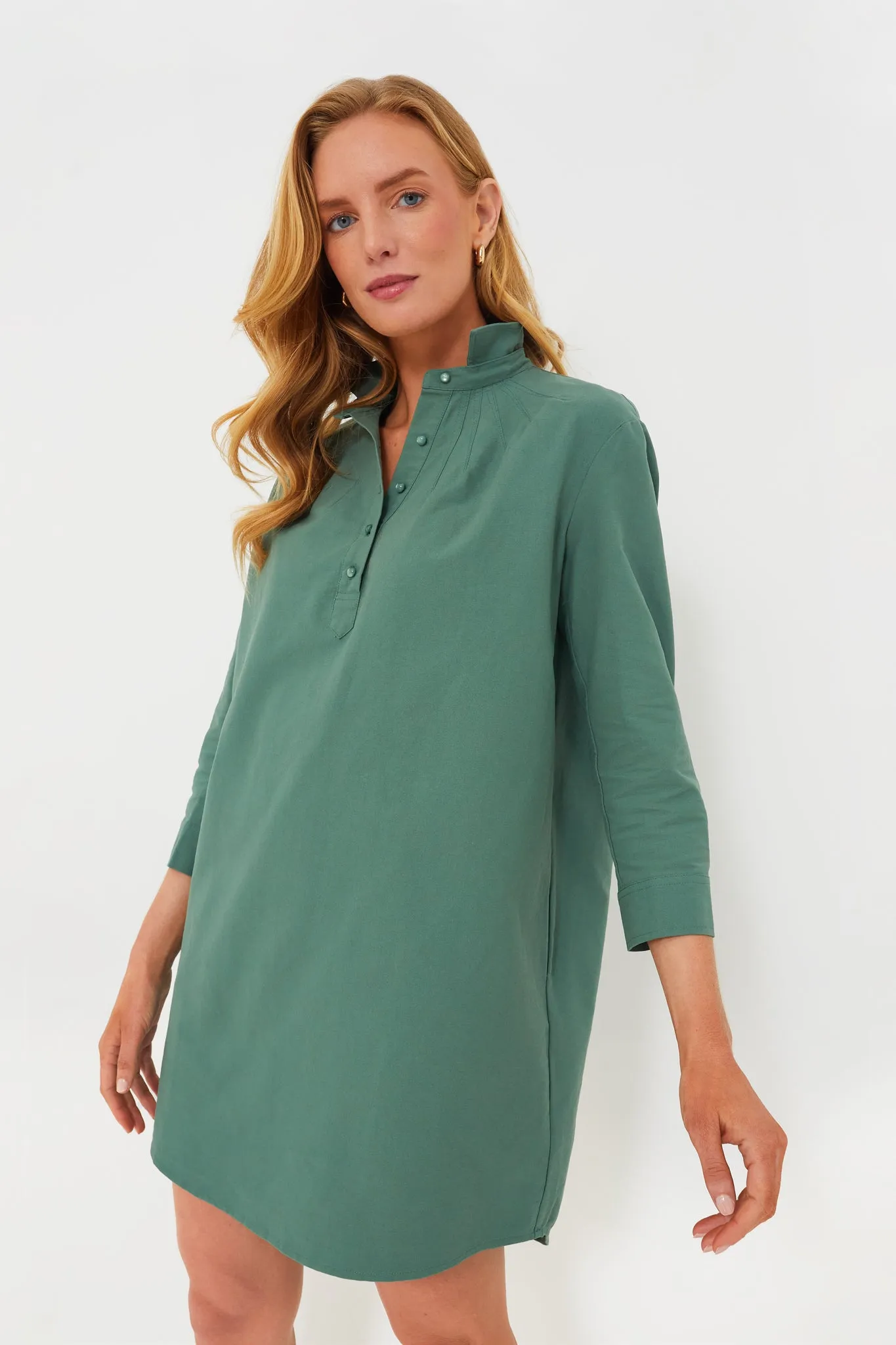 Green Polly Dress sold by Tuckernuck product image thumbnail 3