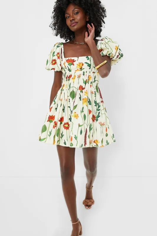 Exclusive Ivory Floral Caramelo Mini Dress sold by Tuckernuck