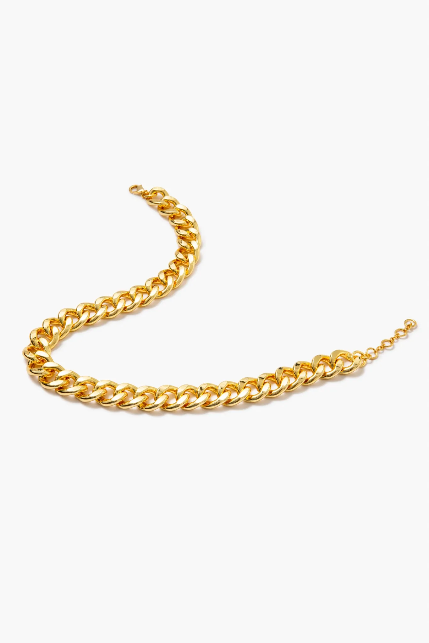 Gold Flat Chain Link Necklace sold by Tuckernuck product image thumbnail 4