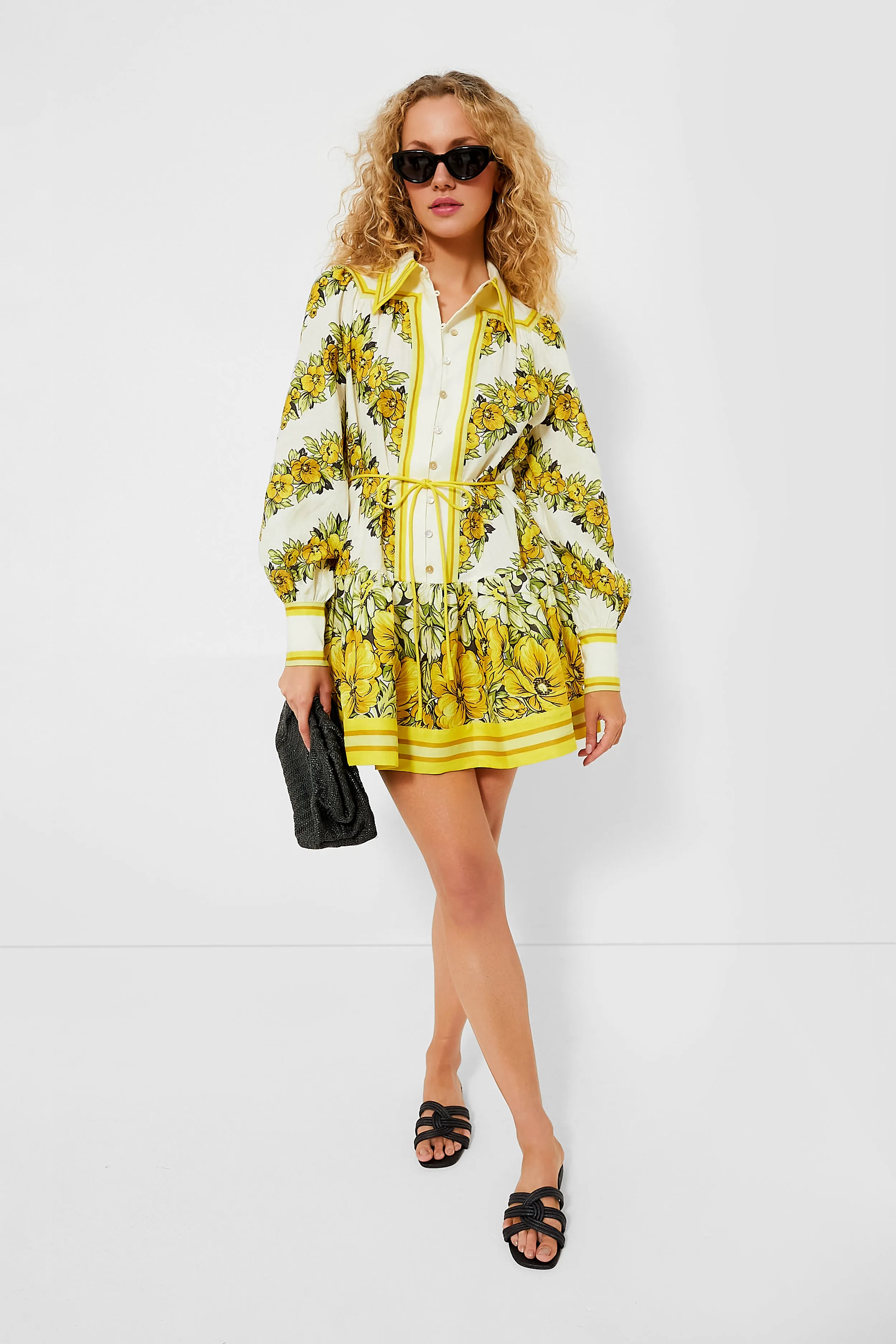 Yellow Gisela Mini Dress sold by Tuckernuck product image thumbnail 2