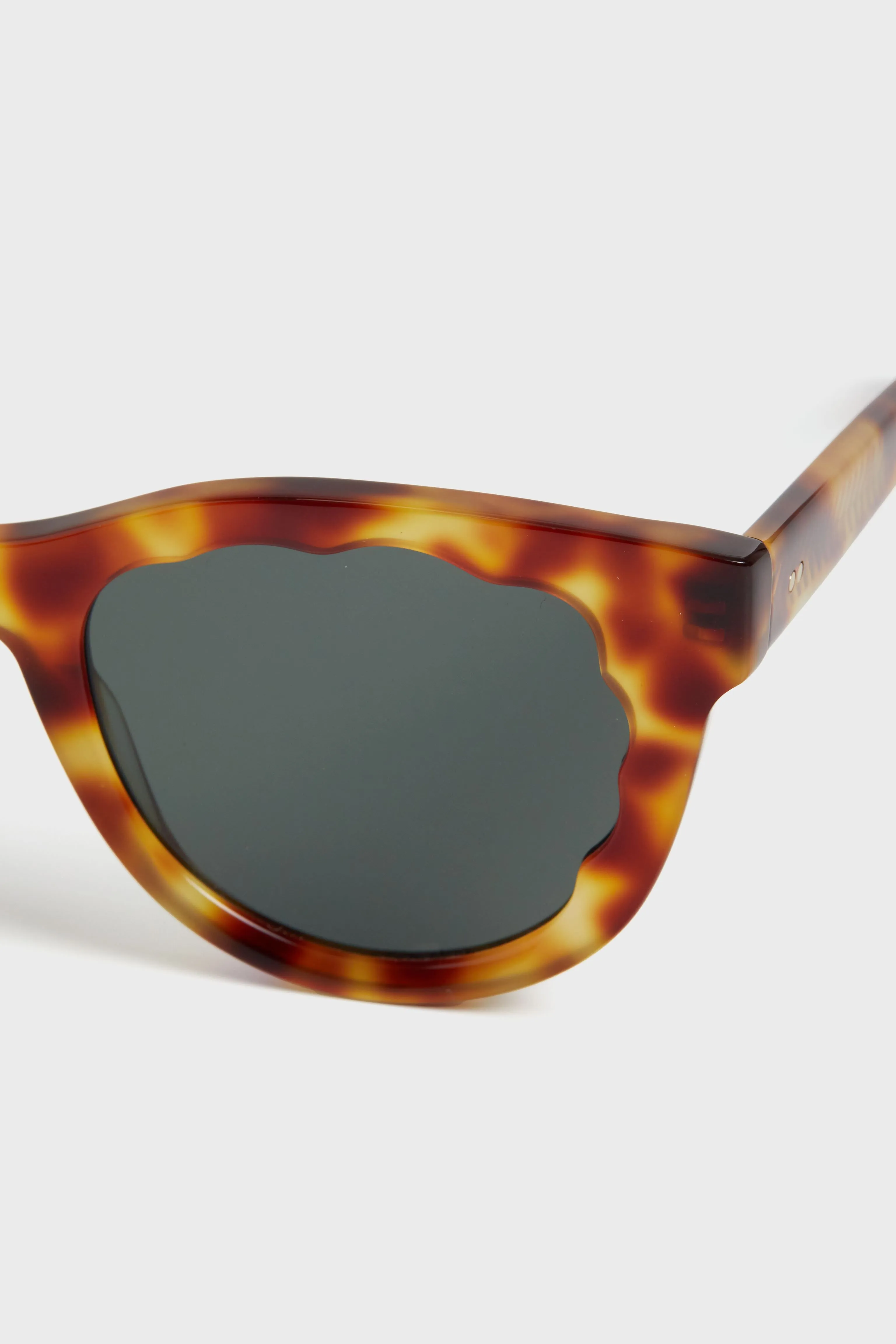 Hawksbill Ellie Sunglasses sold by Tuckernuck product image thumbnail 5