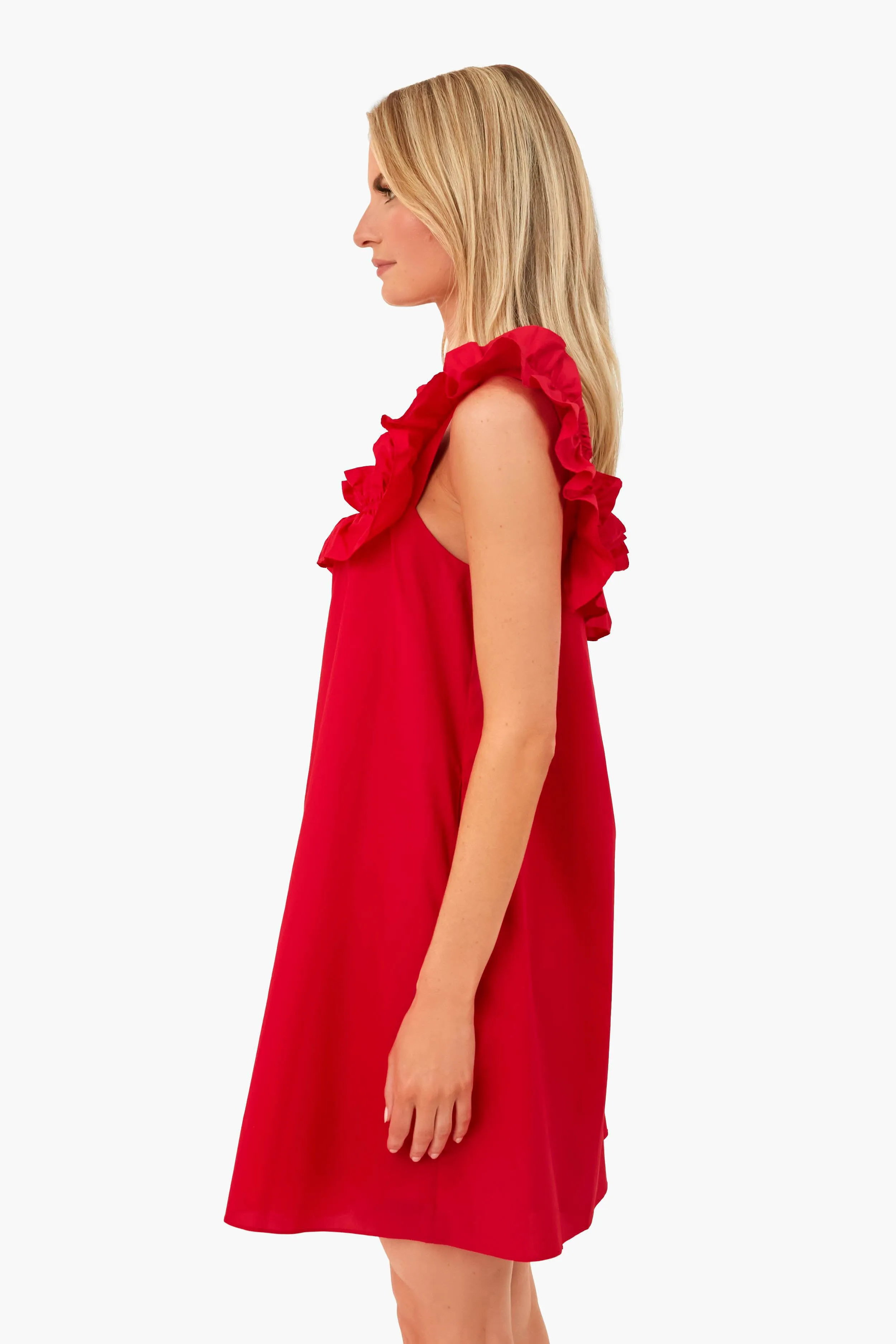 Red Maria Mini Dress sold by Tuckernuck product image thumbnail 3