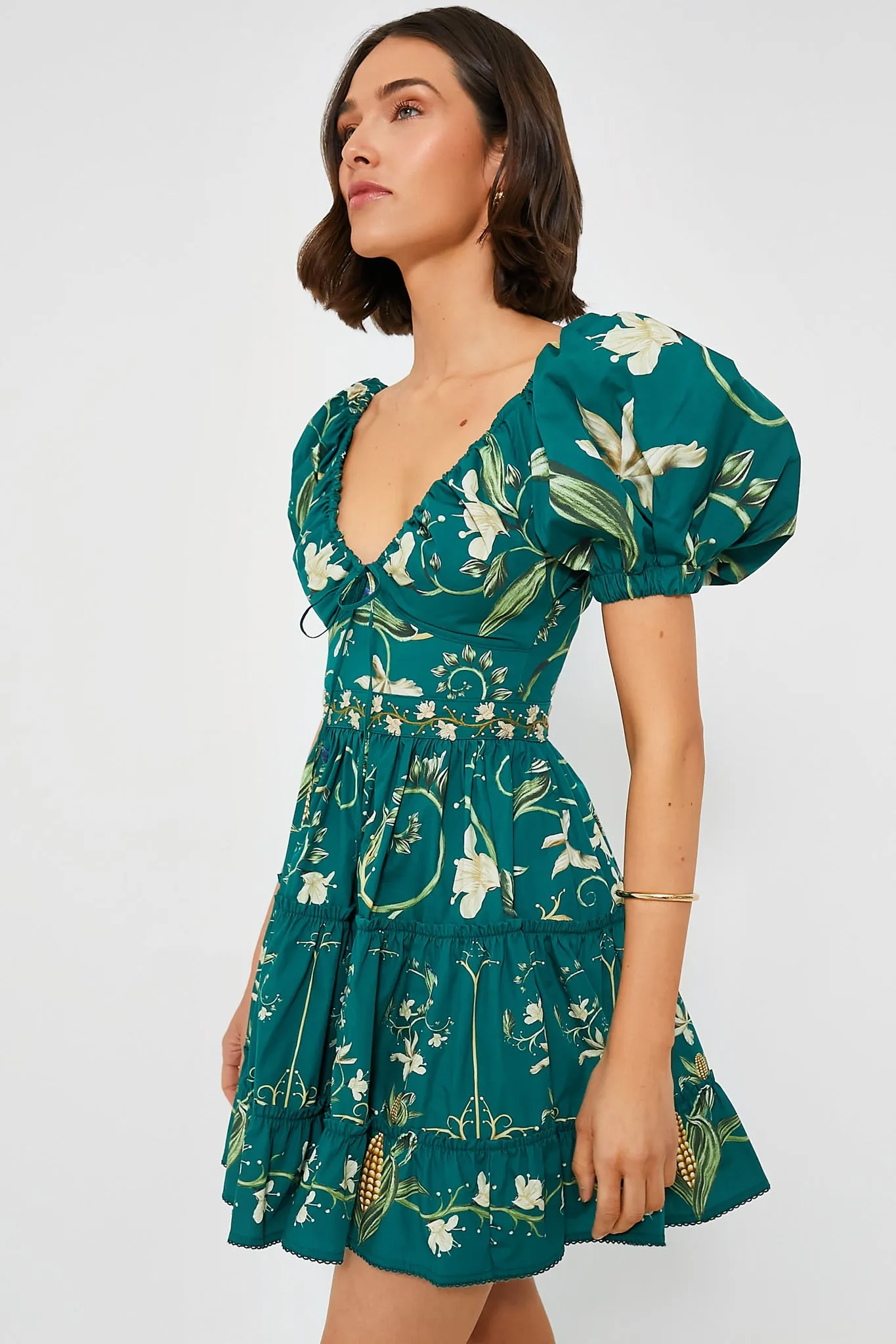 Esmeralda Manzanilla Mini Dress sold by Tuckernuck product image thumbnail 3
