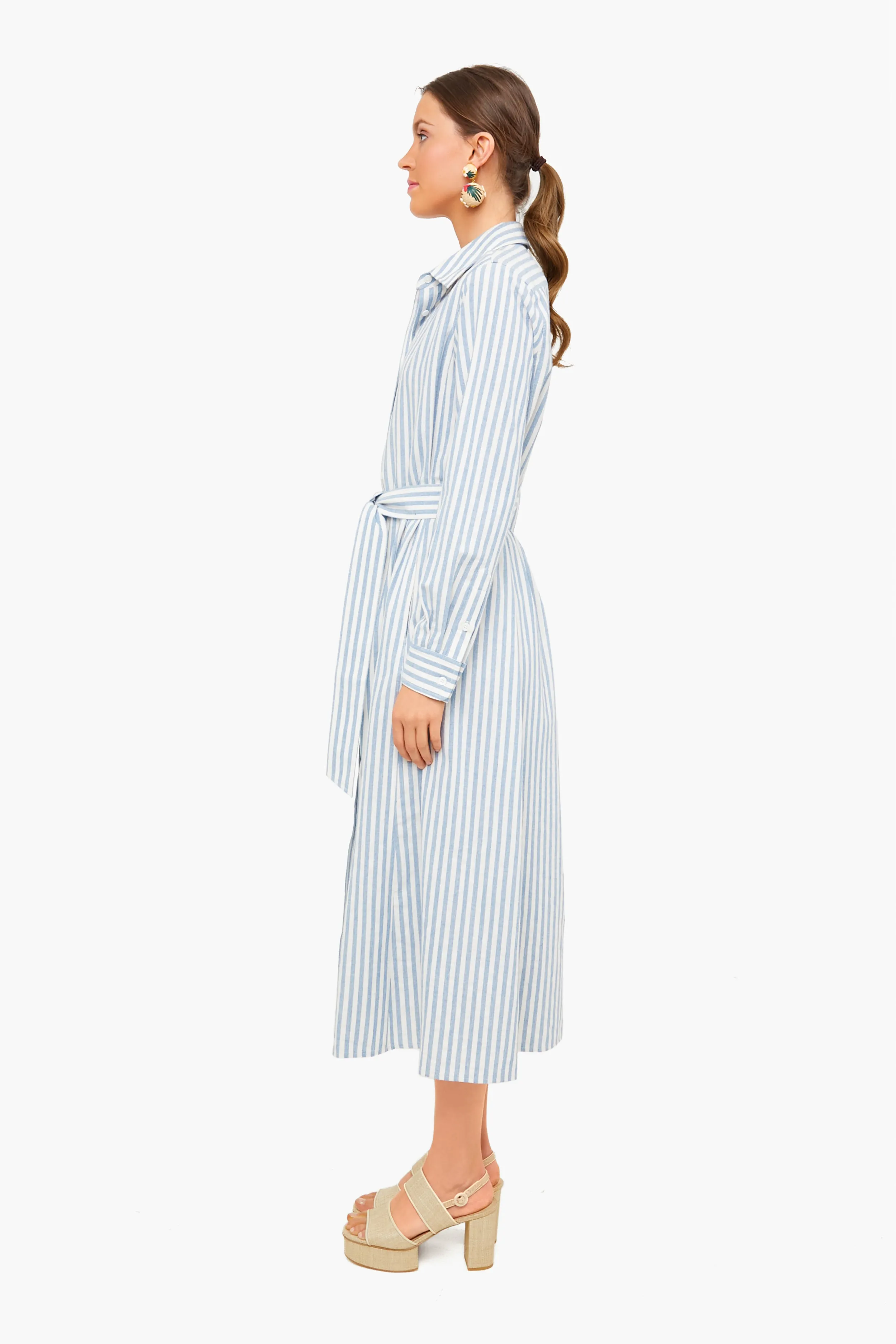 Blue Stripe Caldwell Dress sold by Tuckernuck product image thumbnail 3