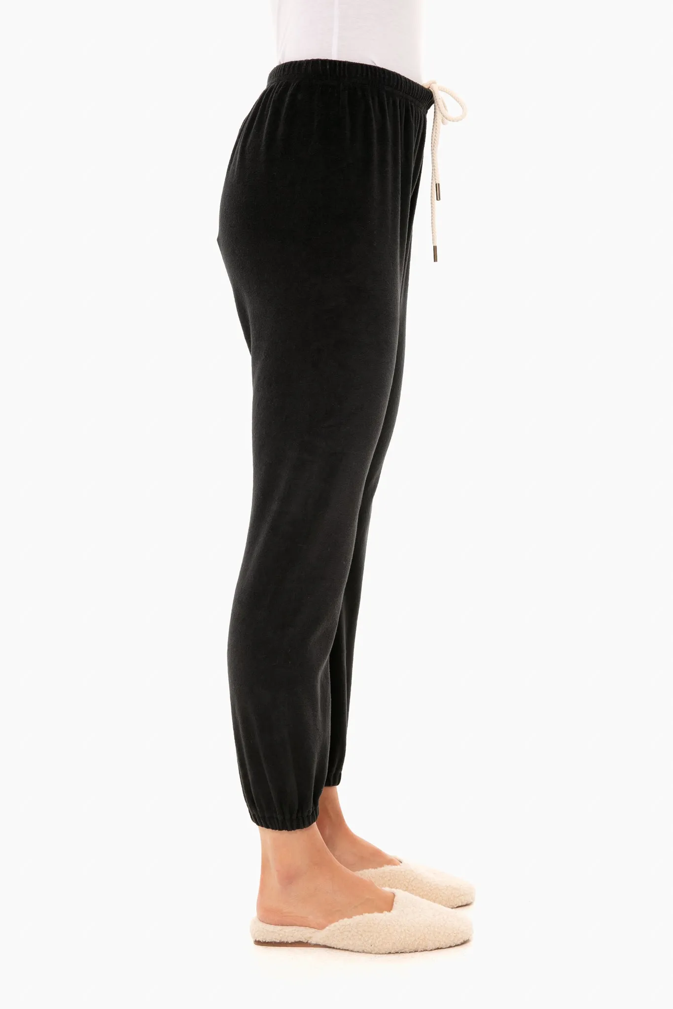 Almost Black Velour Sweatpant sold by Tuckernuck product image thumbnail 4