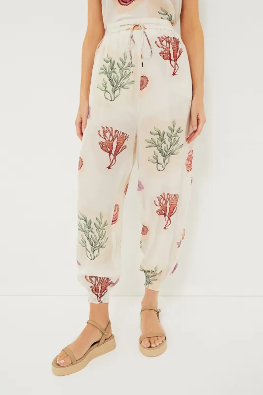 Nautilus Cream Genie Pants sold by Tuckernuck