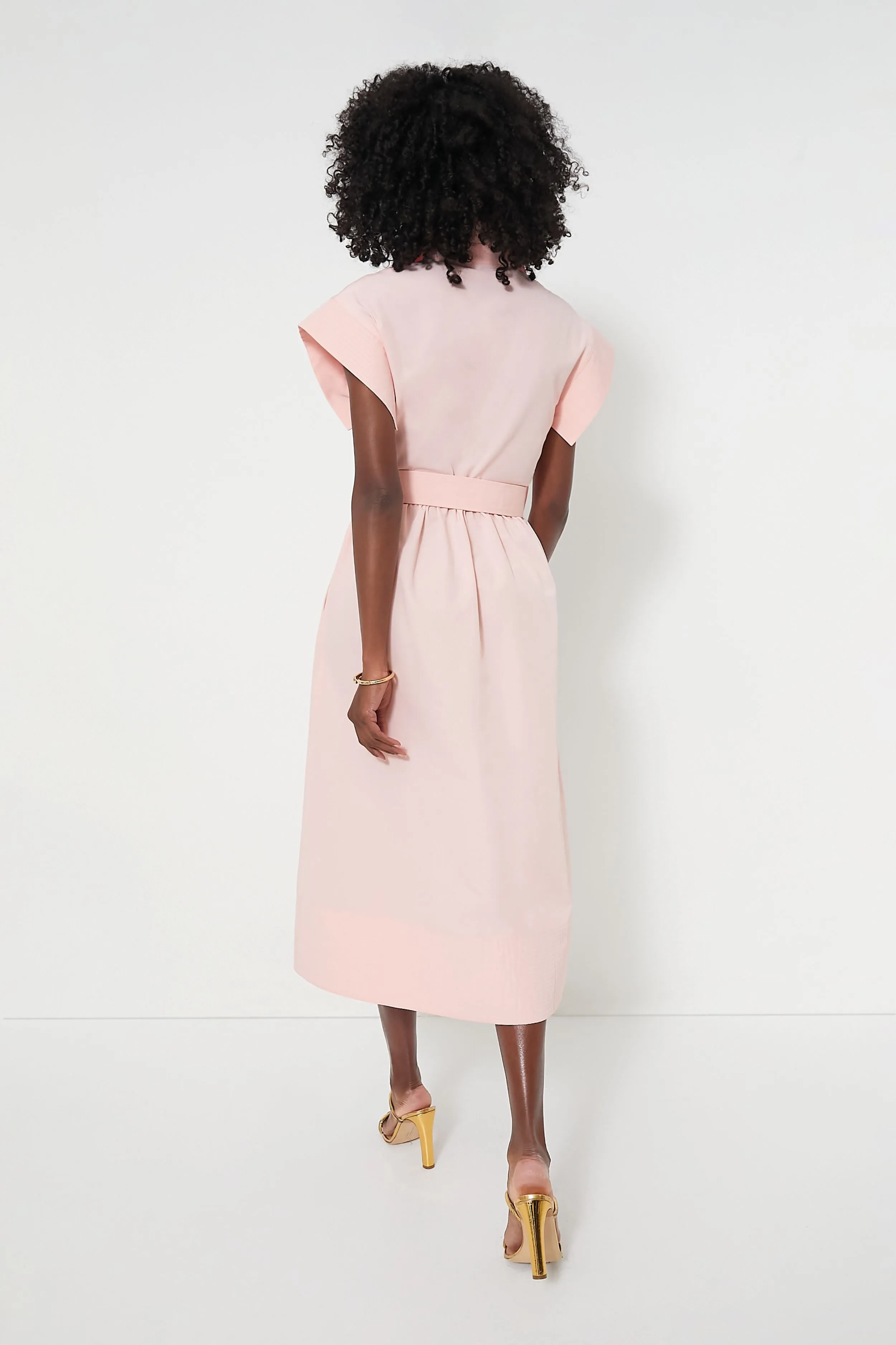 Pink Salt Chloe Dress sold by Tuckernuck product image thumbnail 4
