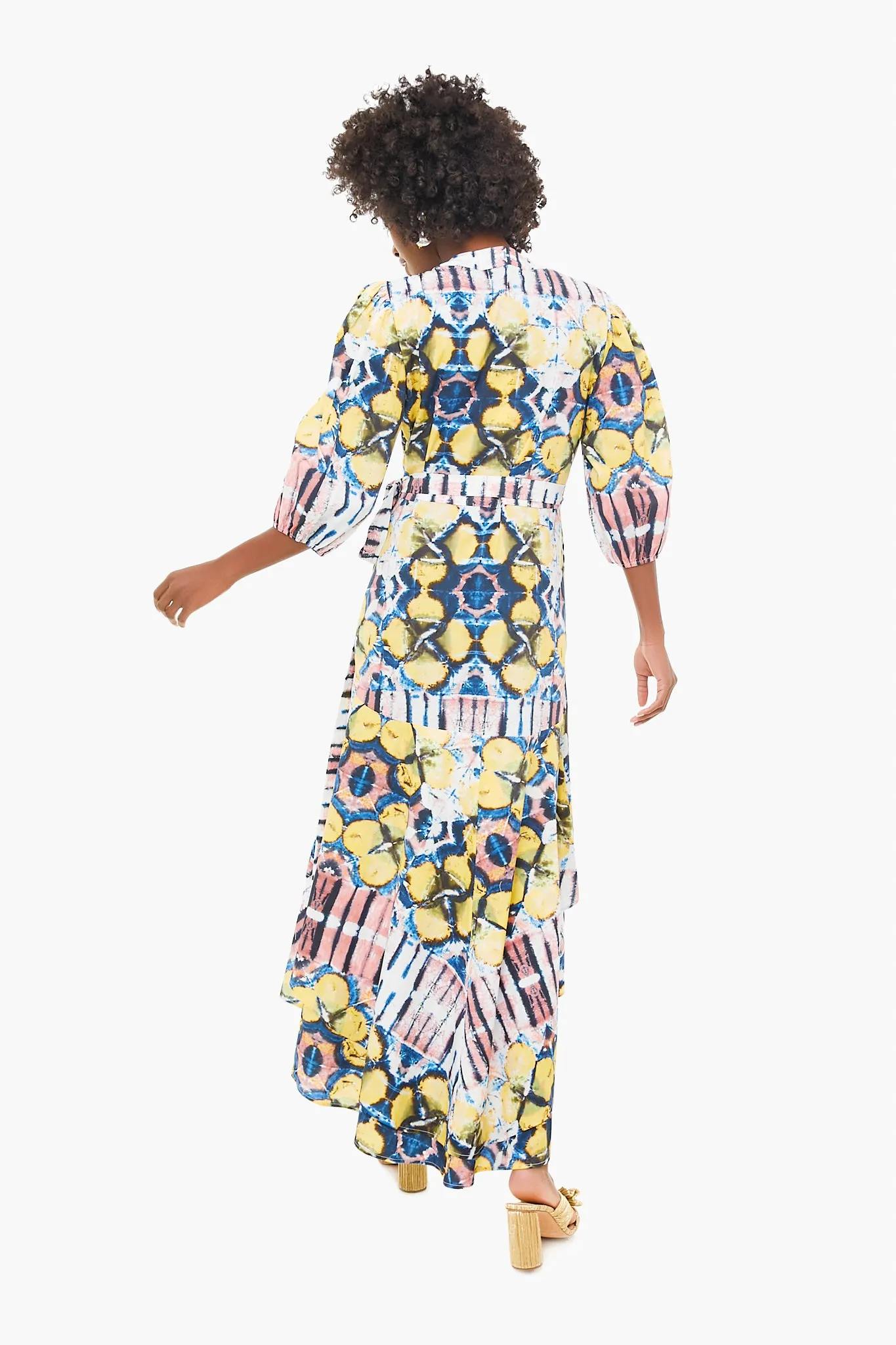 Marsai Dress sold by Tuckernuck product image thumbnail 4