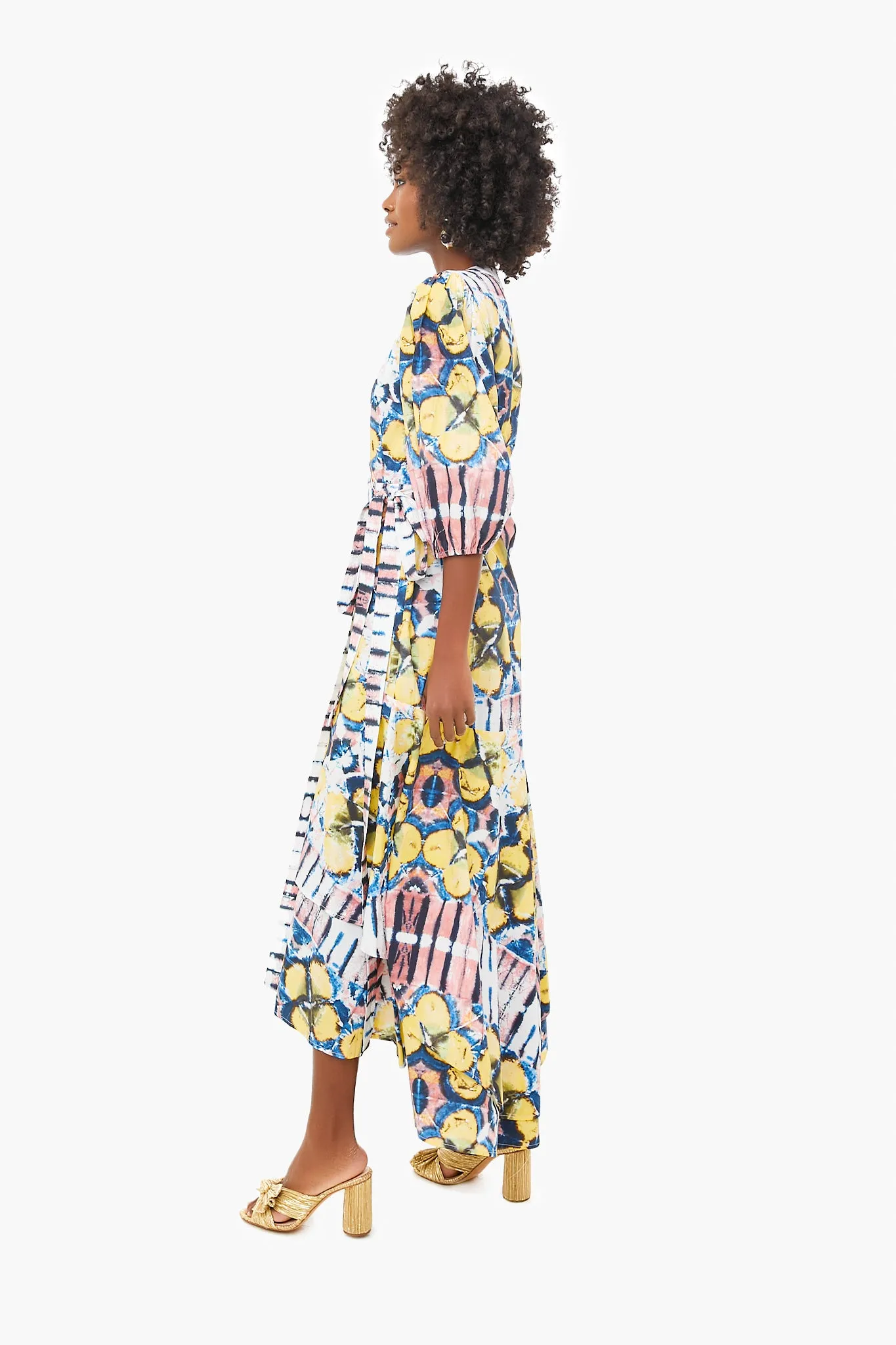 Marsai Dress sold by Tuckernuck product image thumbnail 3