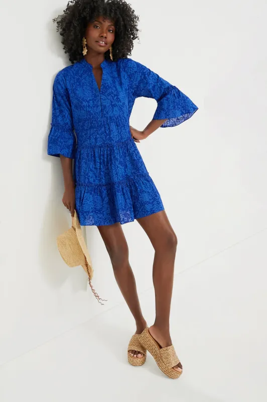 Blue Tiered V-Neck Quidnet Mini Dress sold by Tuckernuck