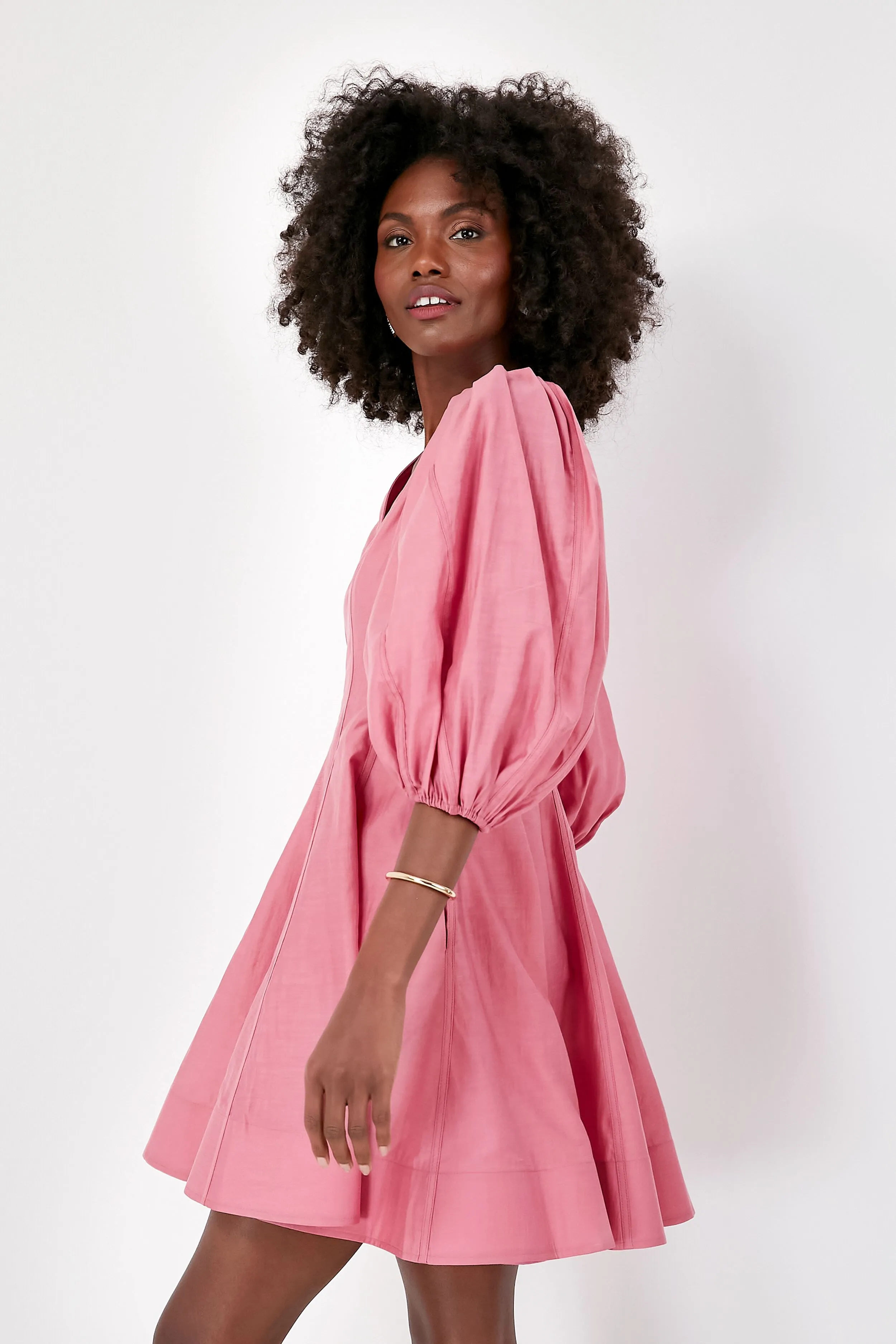 Pink Loraine Mini Dress sold by Tuckernuck product image thumbnail 3