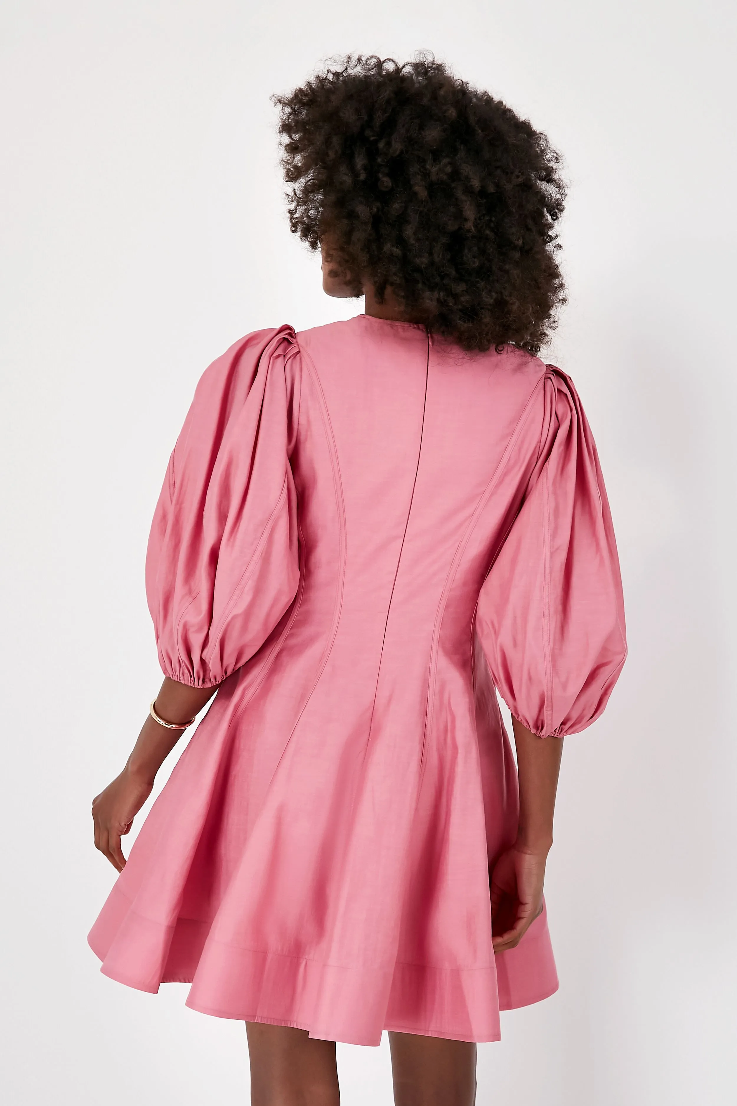 Pink Loraine Mini Dress sold by Tuckernuck product image thumbnail 4