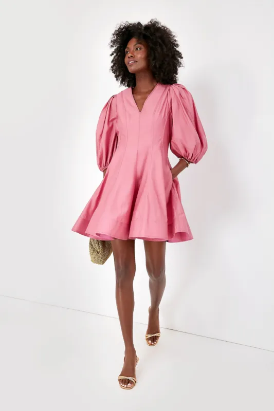 Pink Loraine Mini Dress sold by Tuckernuck