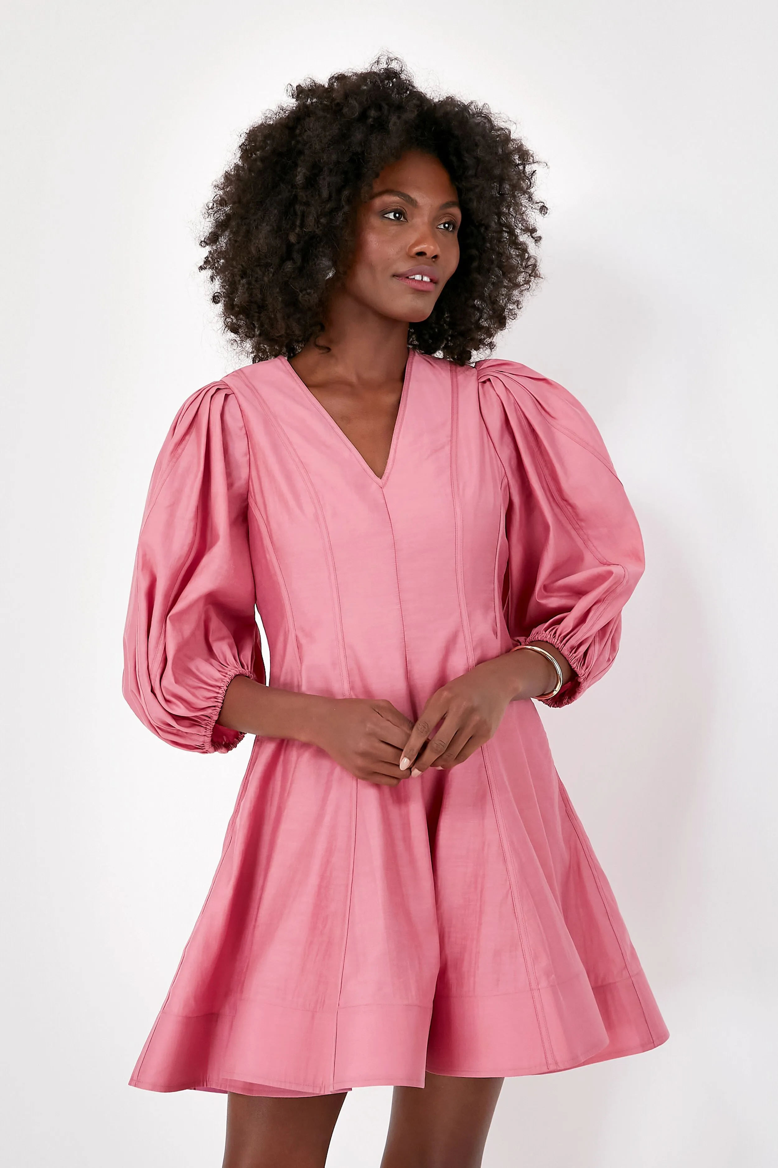 Pink Loraine Mini Dress sold by Tuckernuck product image thumbnail 2