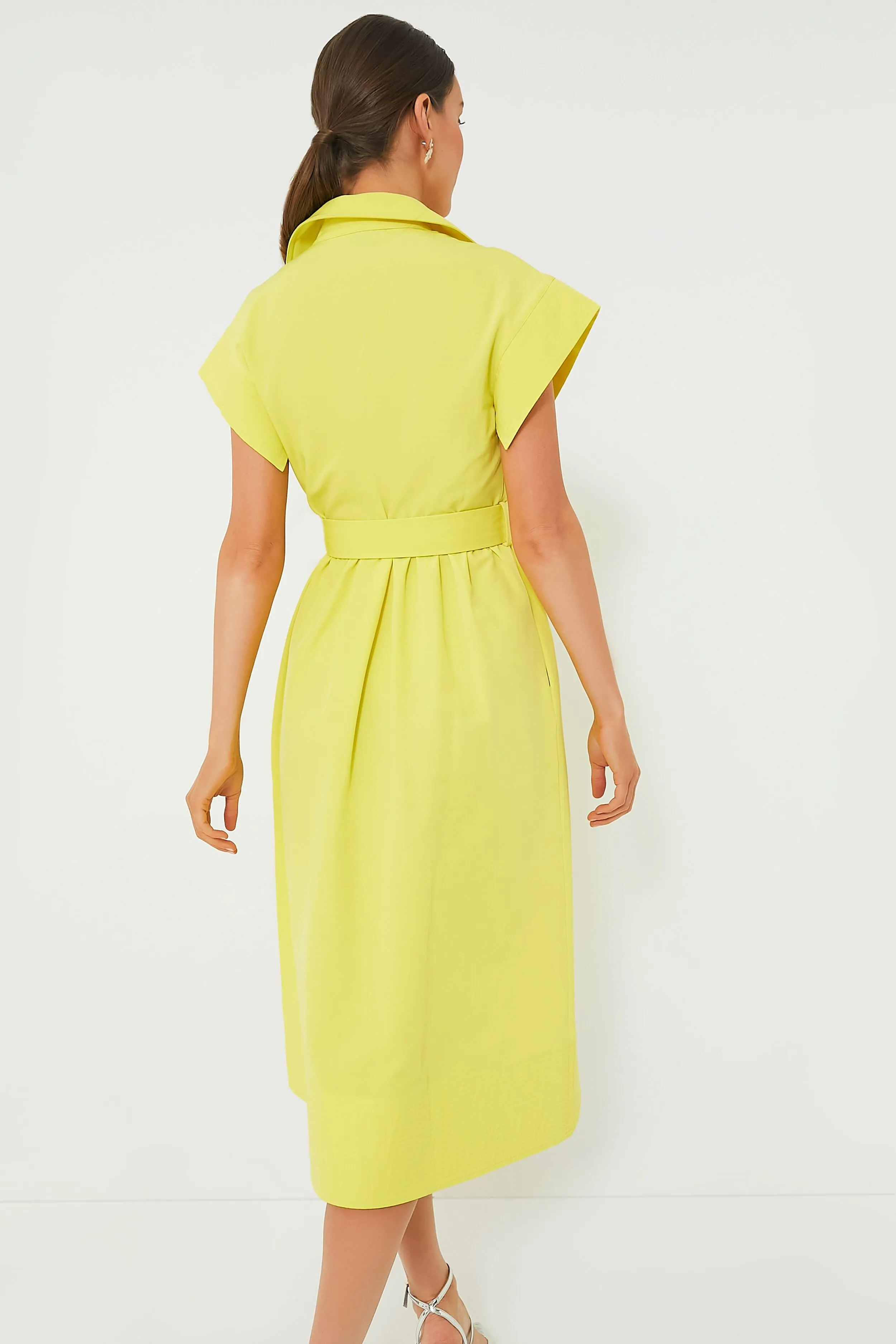 Citron Chloe Dress sold by Tuckernuck product image thumbnail 3