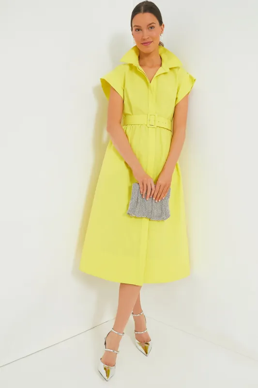 Citron Chloe Dress sold by Tuckernuck