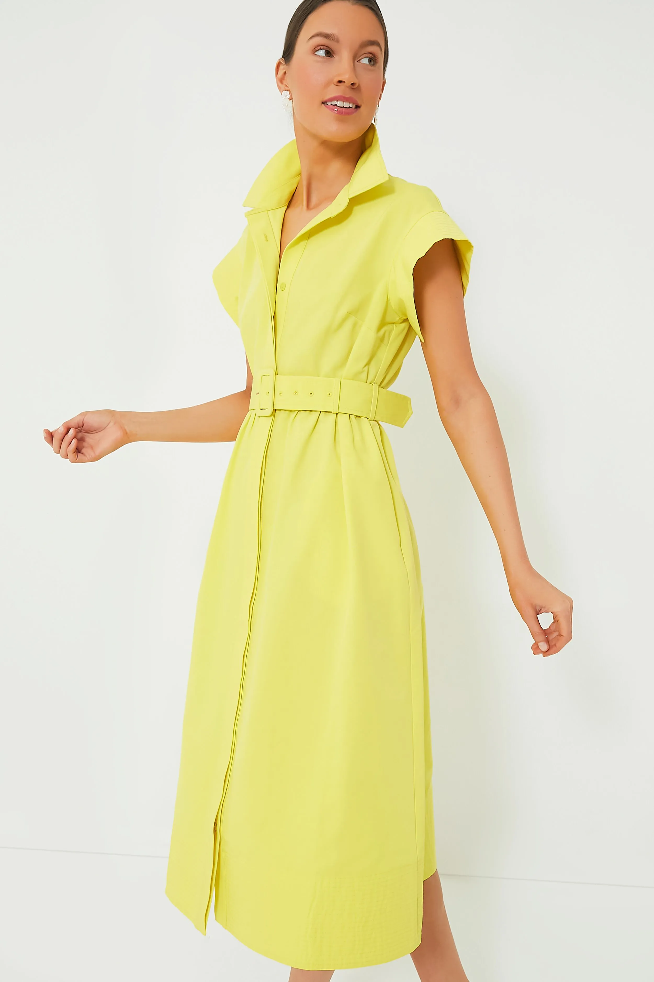 Citron Chloe Dress sold by Tuckernuck product image thumbnail 2