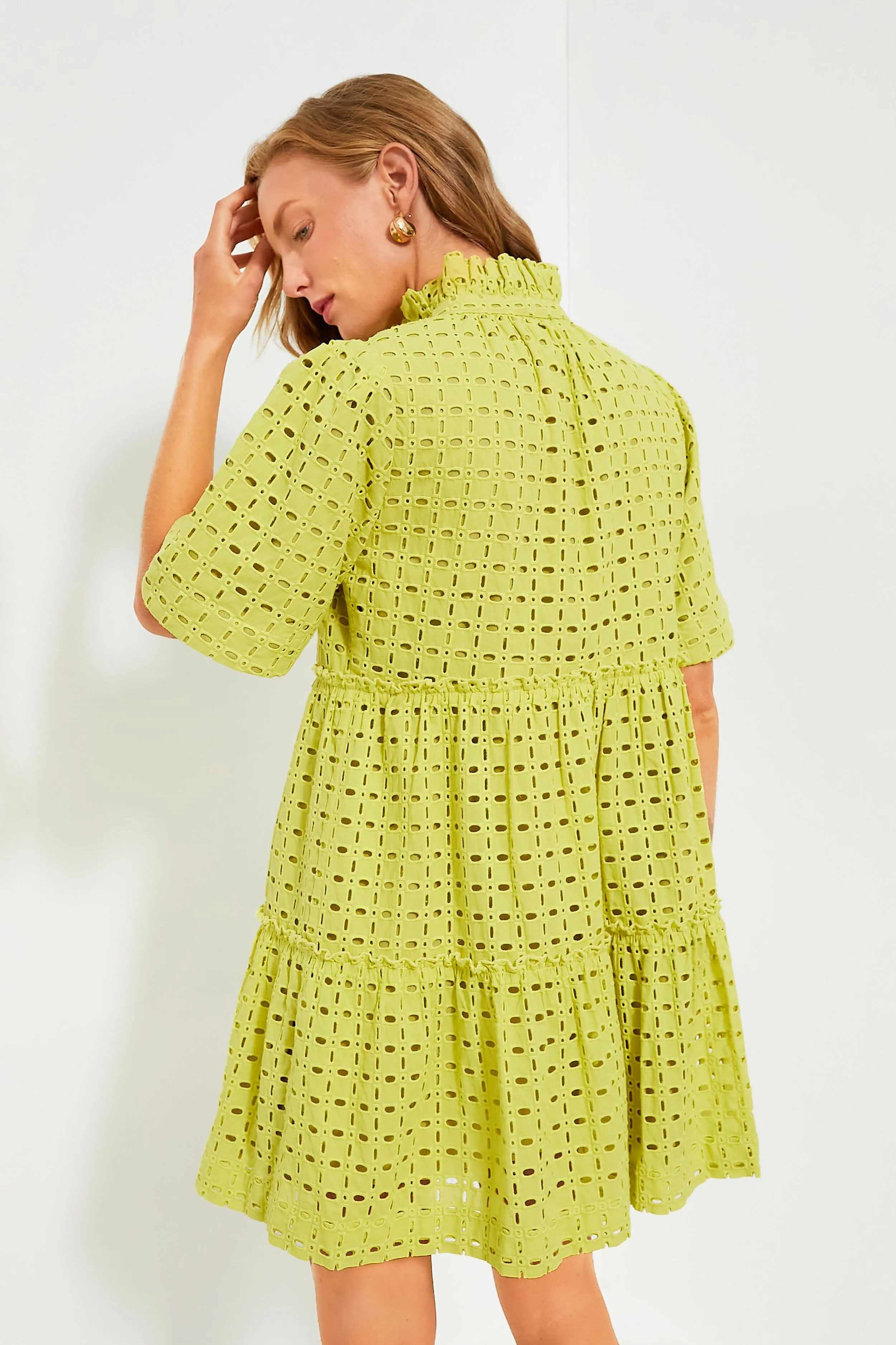 Lemongrass Eyelet Crawford Dress sold by Tuckernuck product image thumbnail 4
