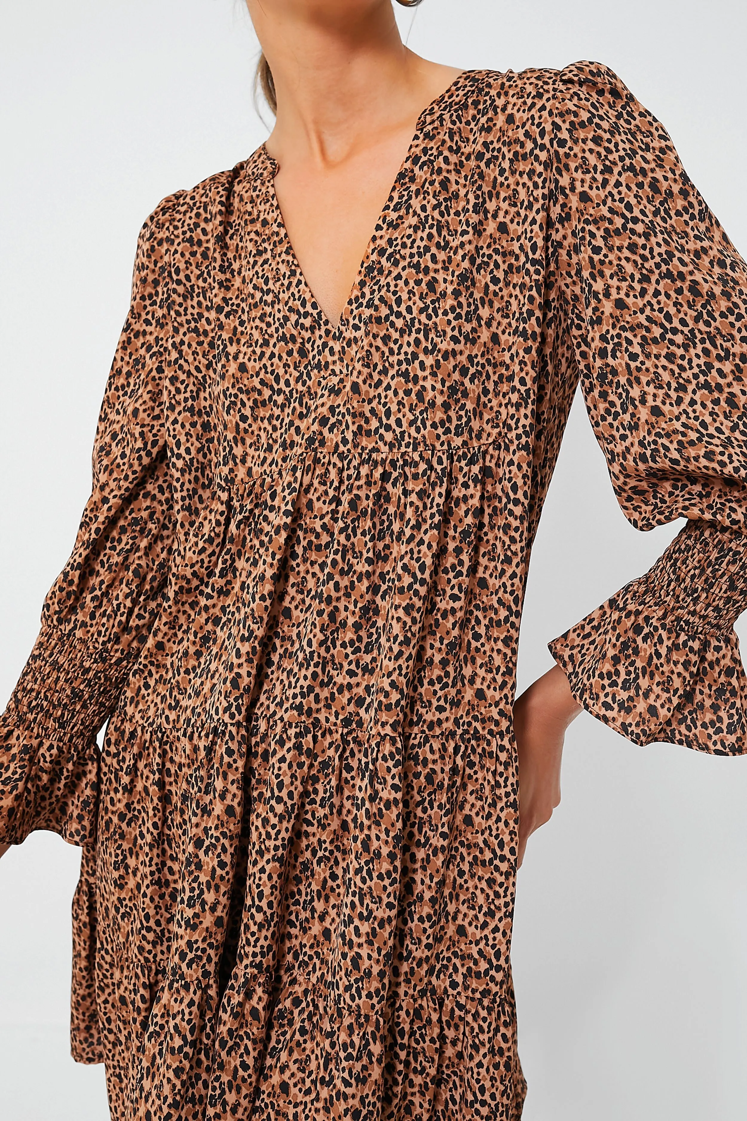 Leopard Kenzo Dress sold by Tuckernuck product image thumbnail 5