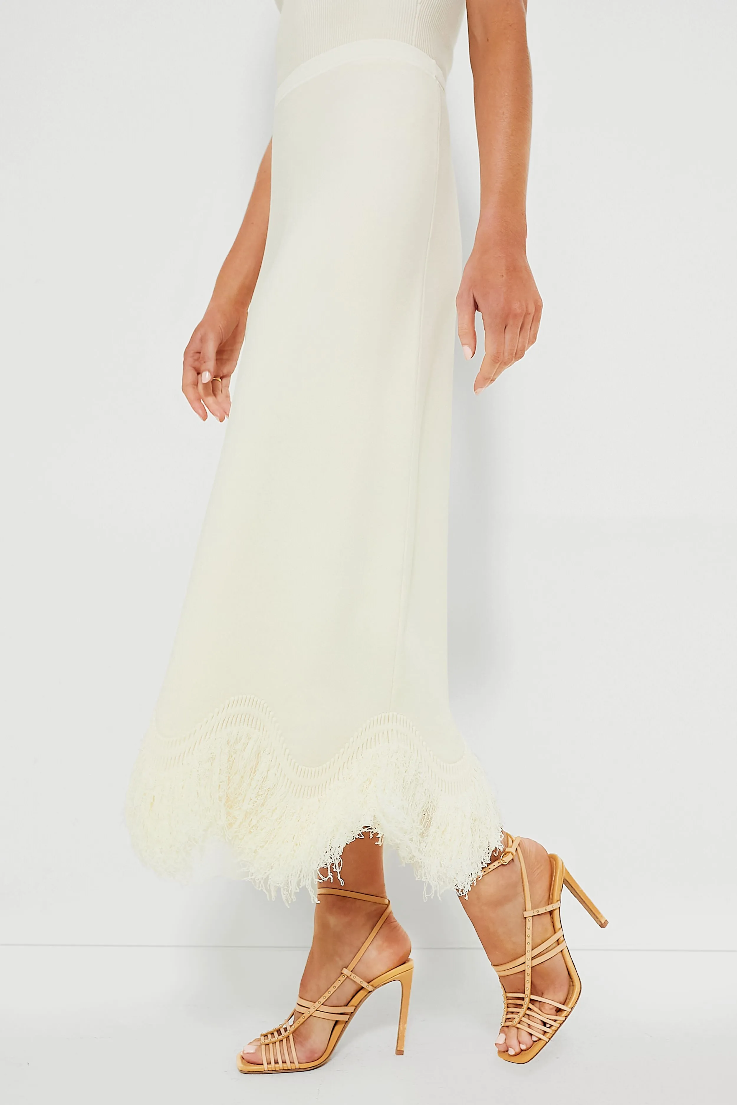 Pristine Paulina Skirt sold by Tuckernuck product image thumbnail 3