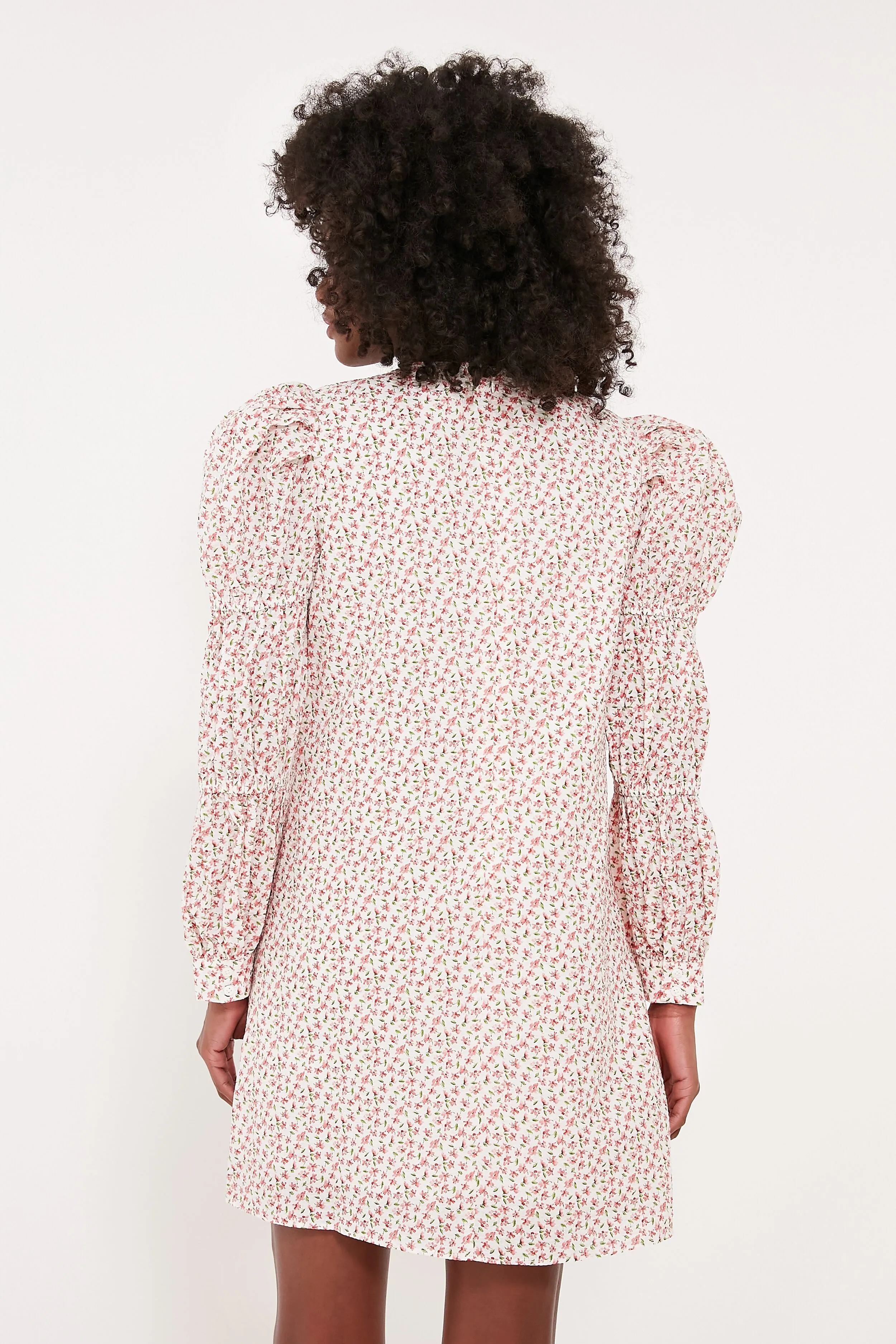 Textured Floral Puff Sleeve Clemons Mini Dress sold by Tuckernuck product image thumbnail 5