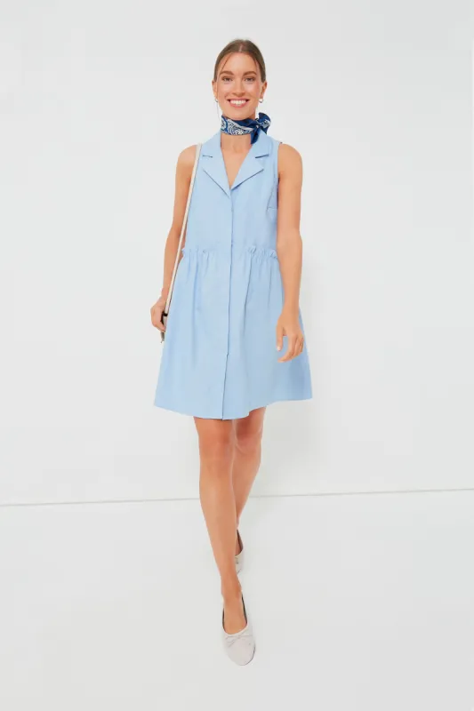 Oxford Blue Sleeveless Royal Shirt Dress sold by Tuckernuck