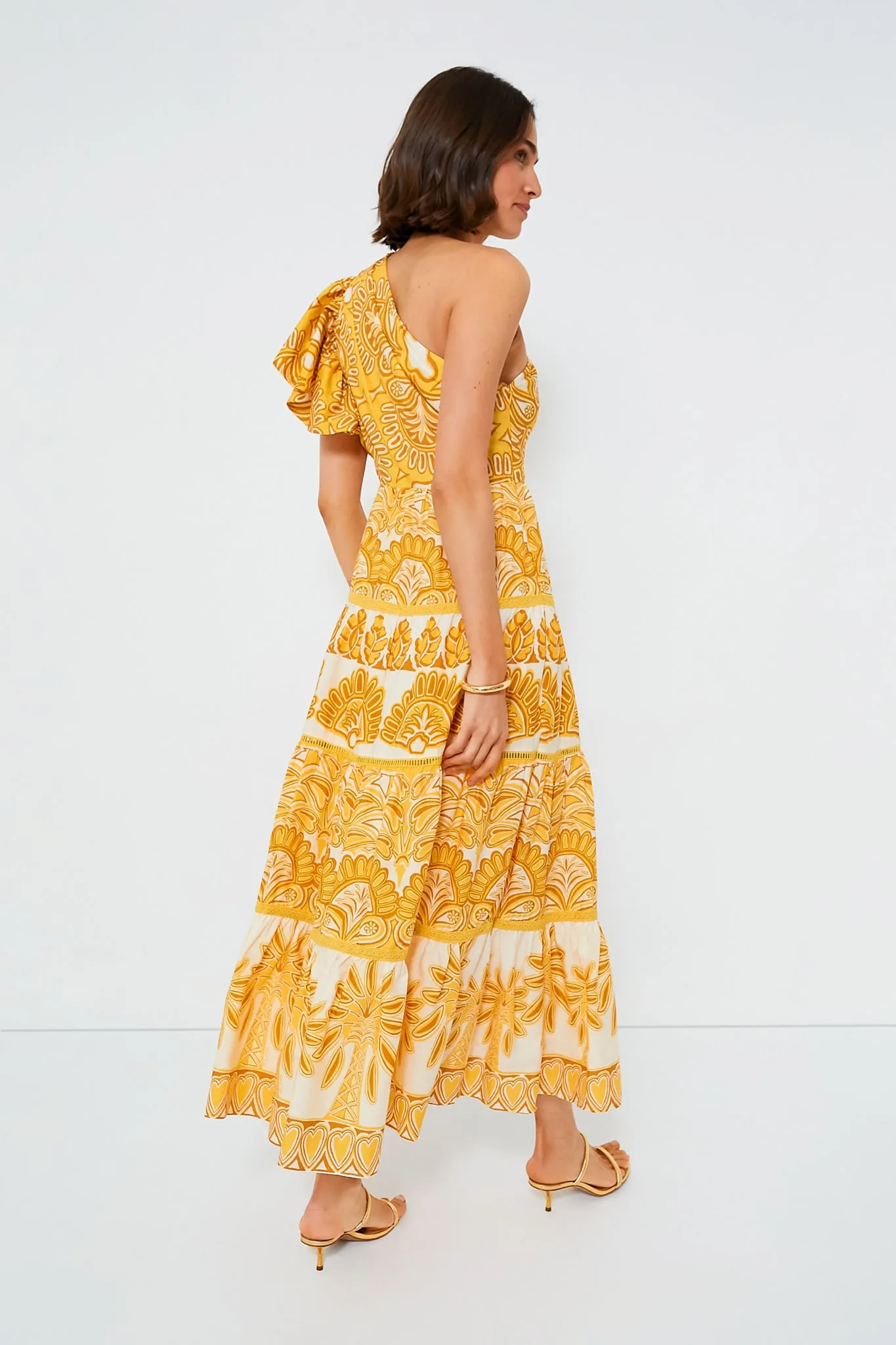 Yellow Tapestry Ainika Sleeveless Maxi Dress sold by Tuckernuck product image thumbnail 4