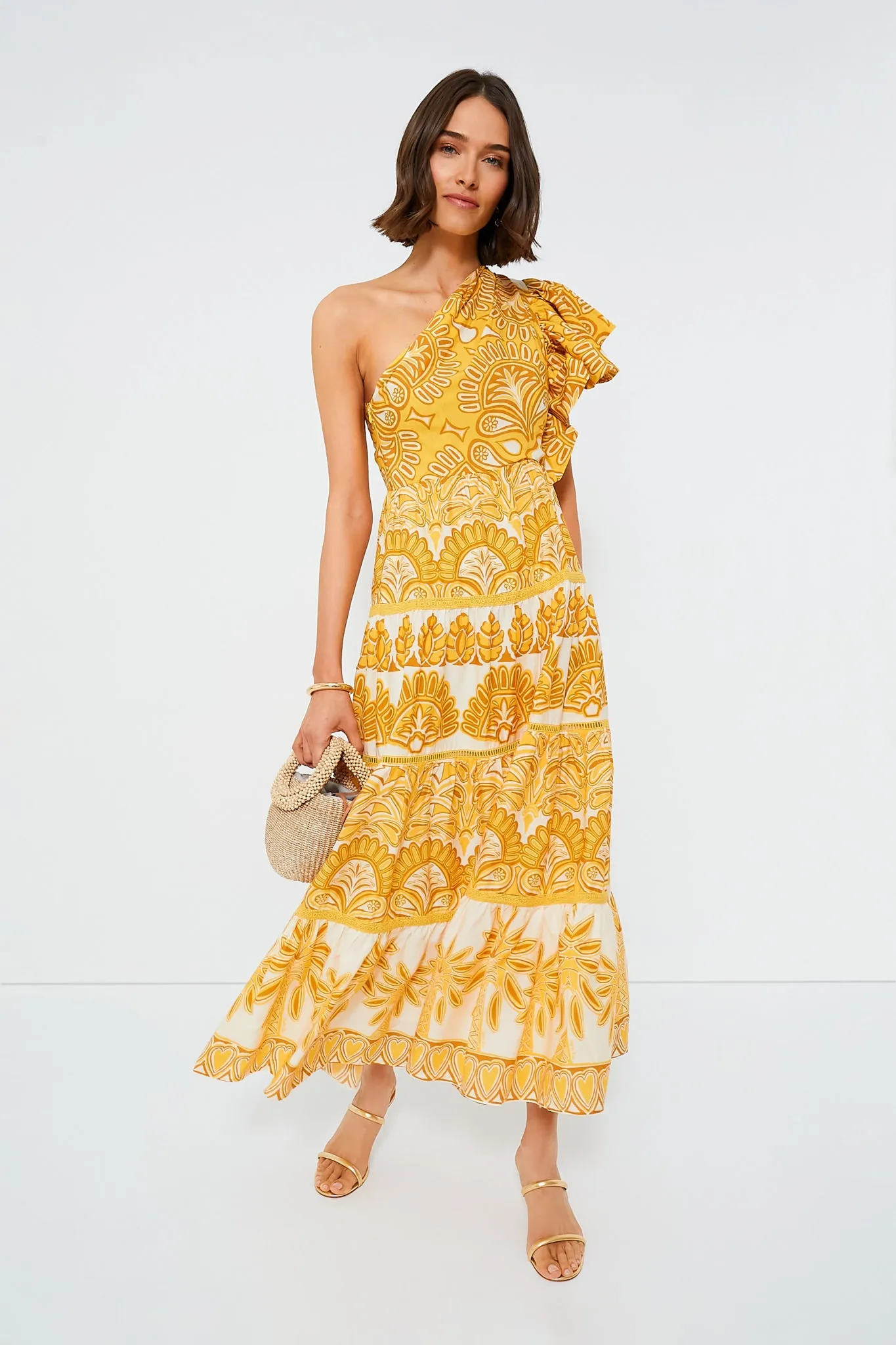 Yellow Tapestry Ainika Sleeveless Maxi Dress sold by Tuckernuck