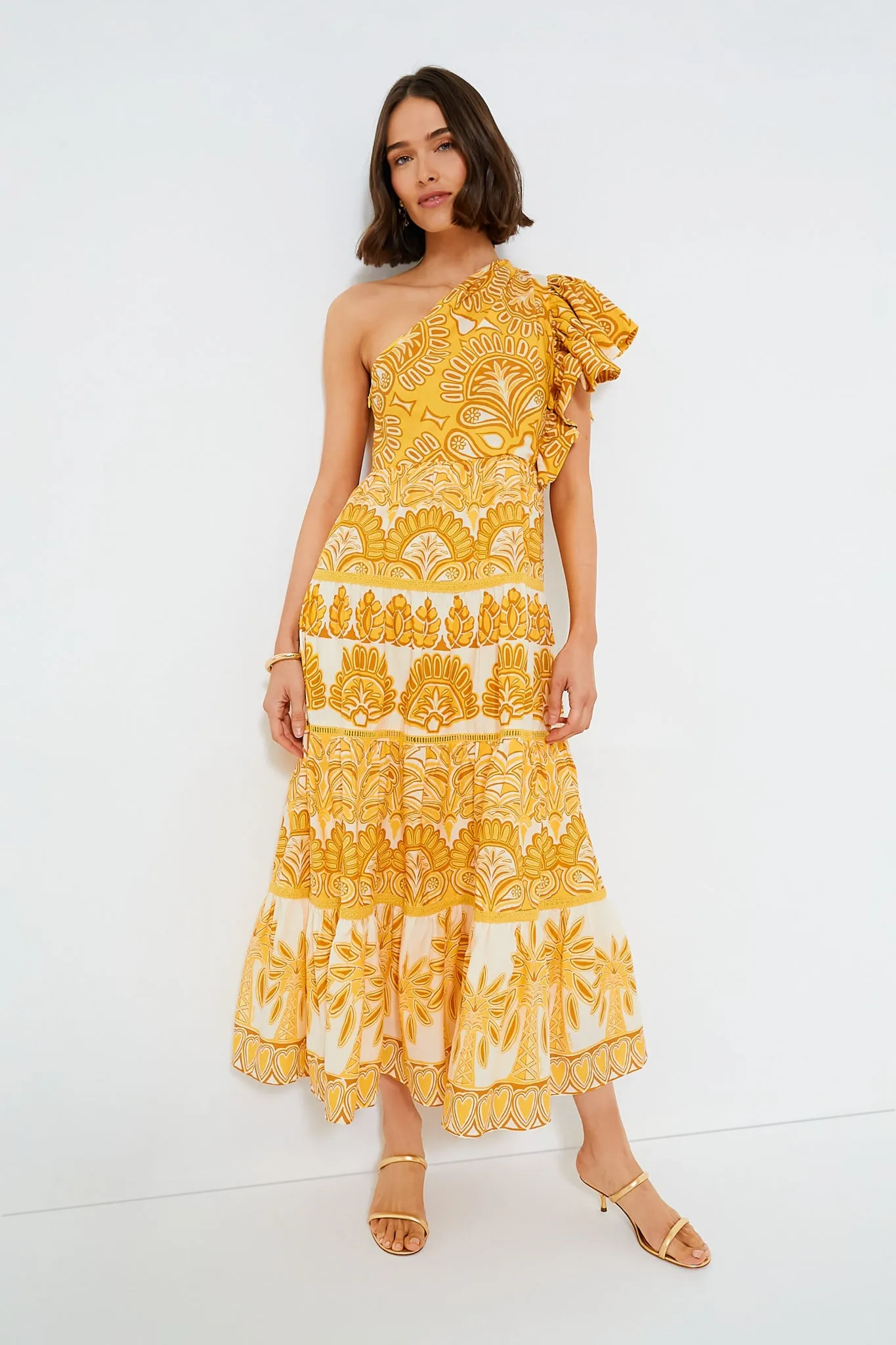 Yellow Tapestry Ainika Sleeveless Maxi Dress sold by Tuckernuck product image thumbnail 2