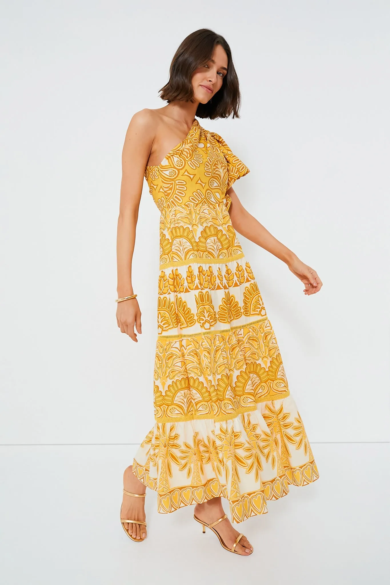 Yellow Tapestry Ainika Sleeveless Maxi Dress sold by Tuckernuck product image thumbnail 3