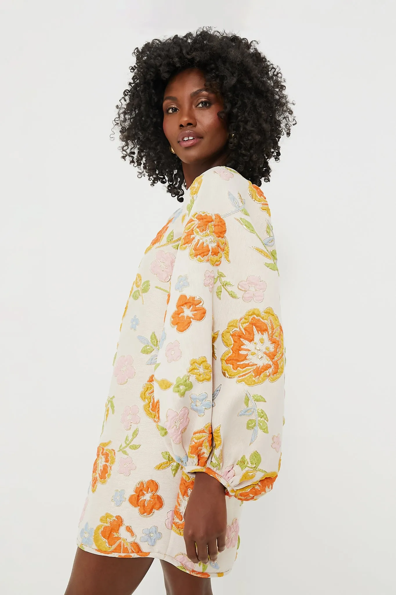 Refresh Slim Fit Good Luck Dress sold by Tuckernuck product image thumbnail 3