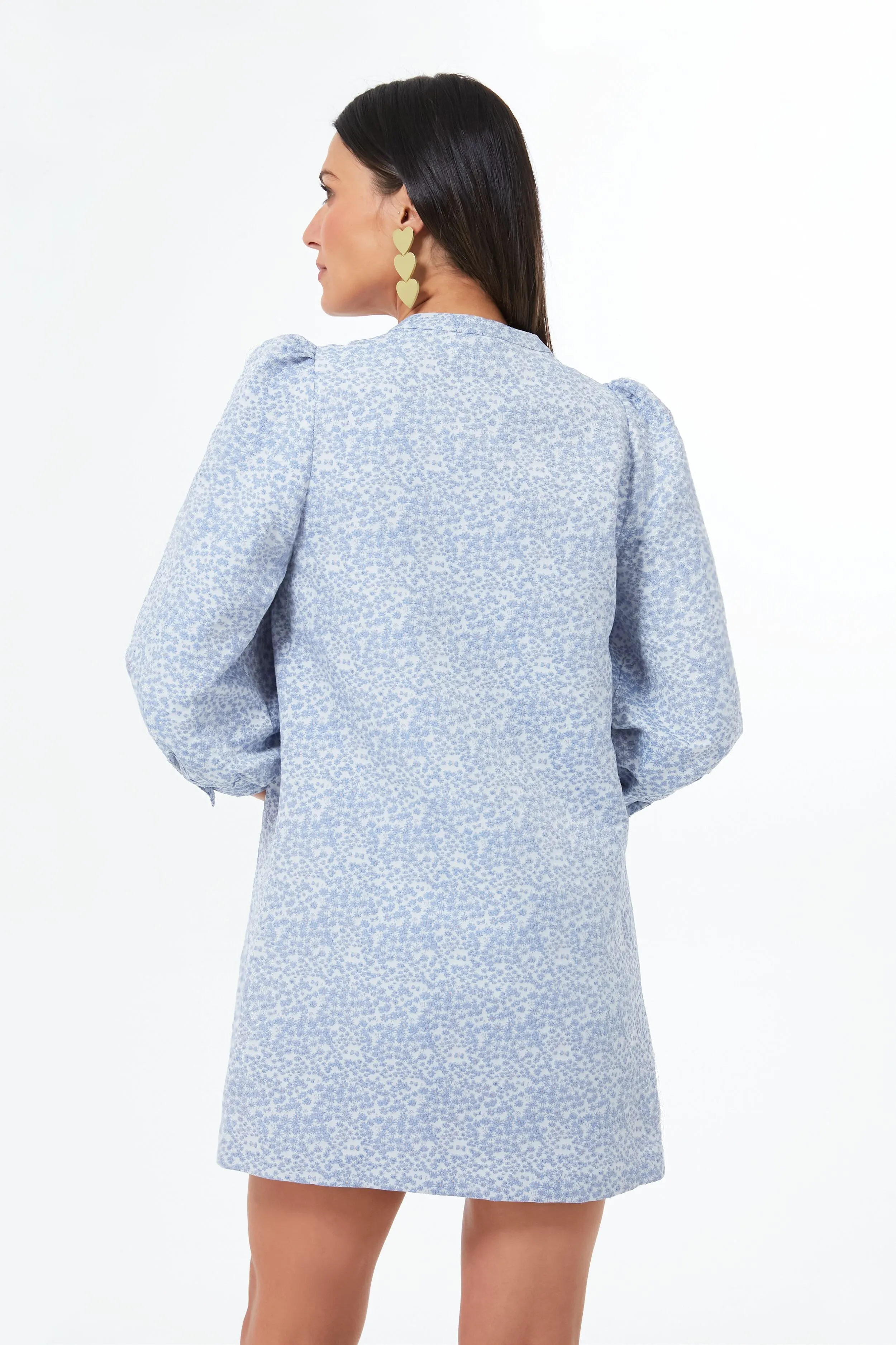 Blue Jacquard Samantha Mini Dress sold by Tuckernuck product image thumbnail 4