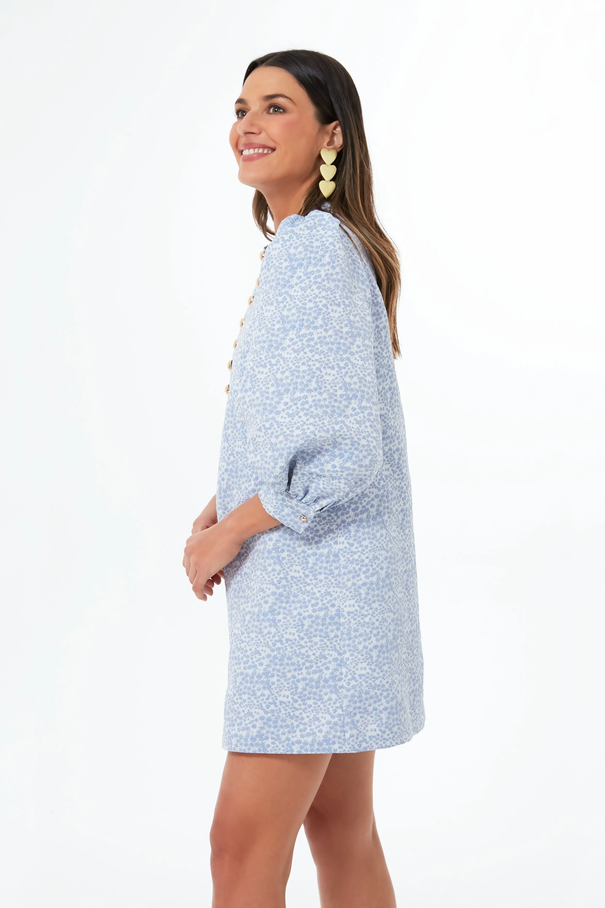 Blue Jacquard Samantha Mini Dress sold by Tuckernuck product image thumbnail 3