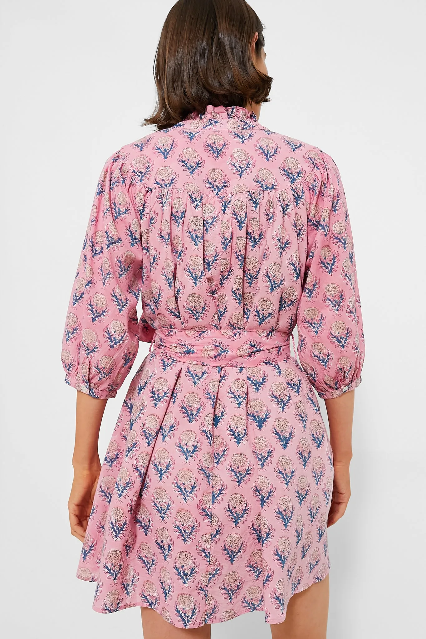 Pink City Georgia Dress sold by Tuckernuck product image thumbnail 5