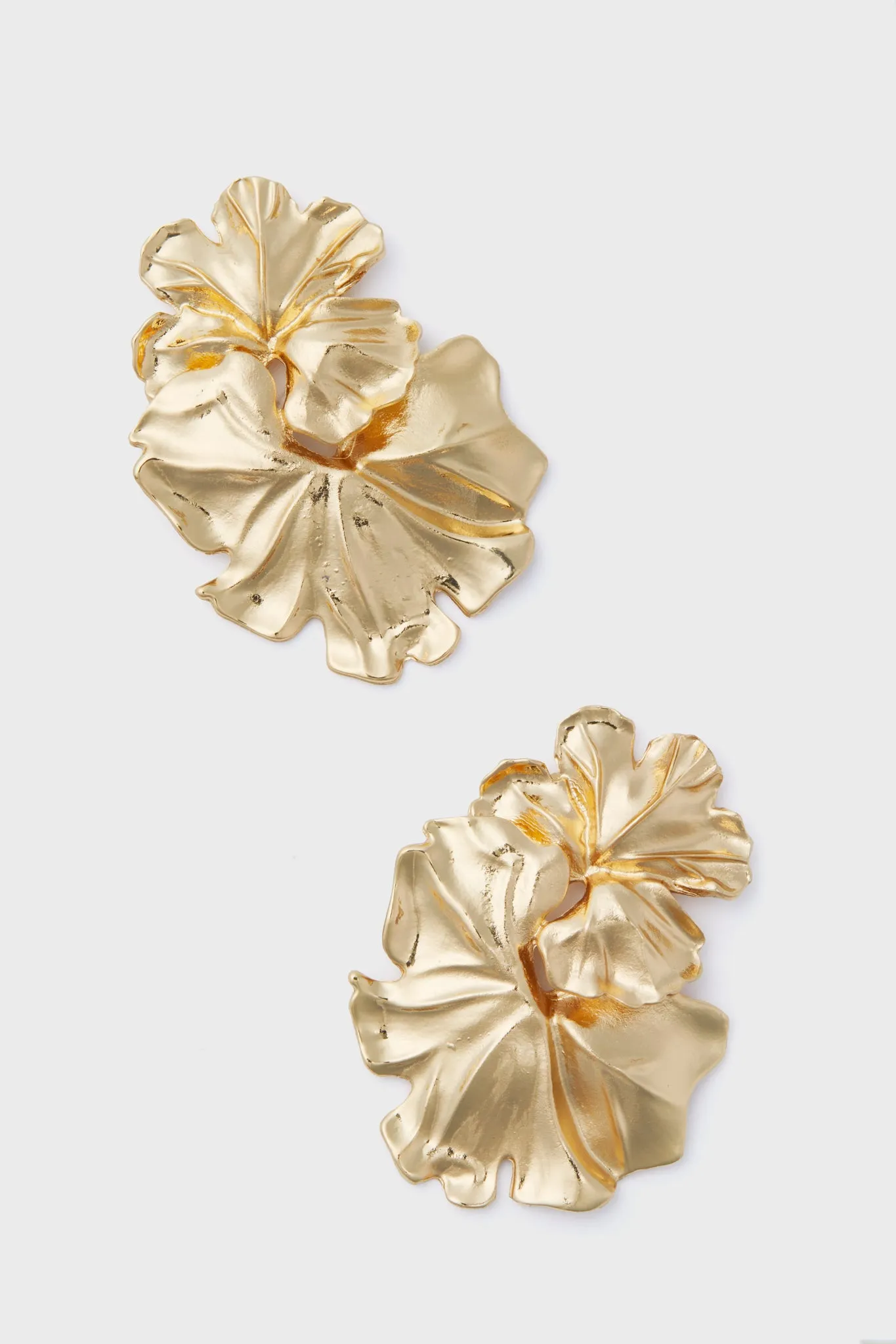 Gold Noveldo Earrings sold by Tuckernuck