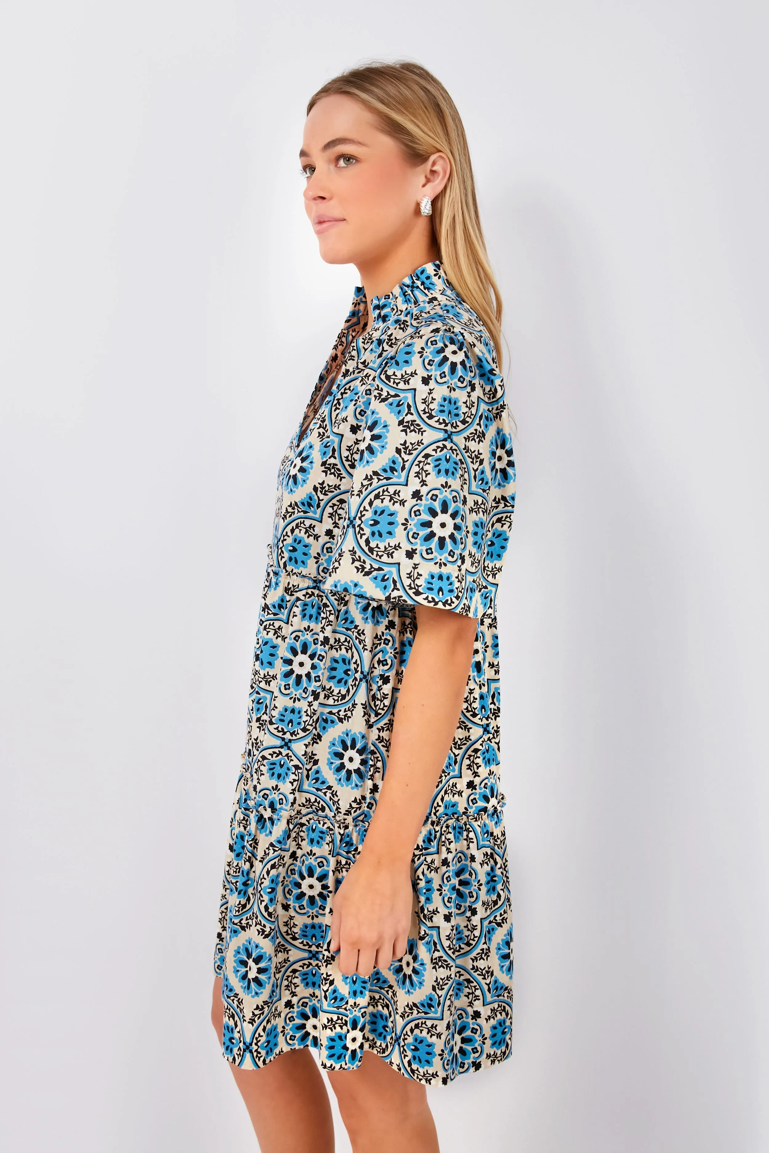 Golden Medallion Crawford Dress sold by Tuckernuck product image thumbnail 3