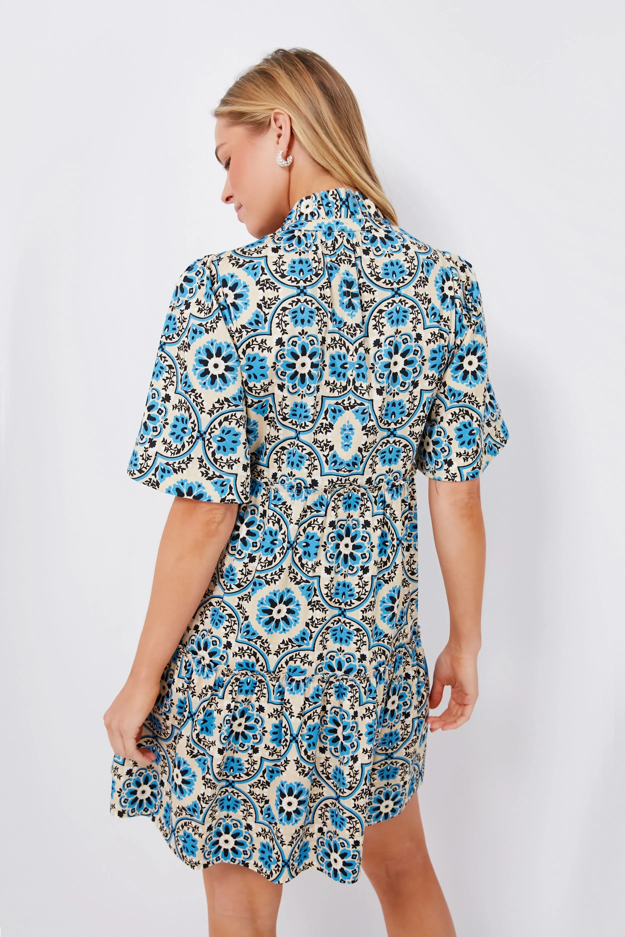 Golden Medallion Crawford Dress sold by Tuckernuck product image thumbnail 4