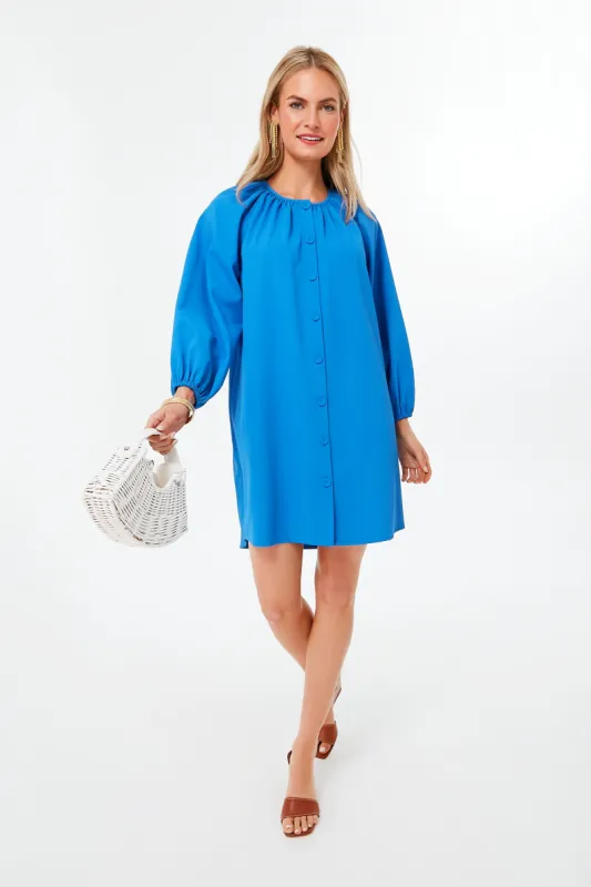 Cerulean Clarke Dress sold by Tuckernuck