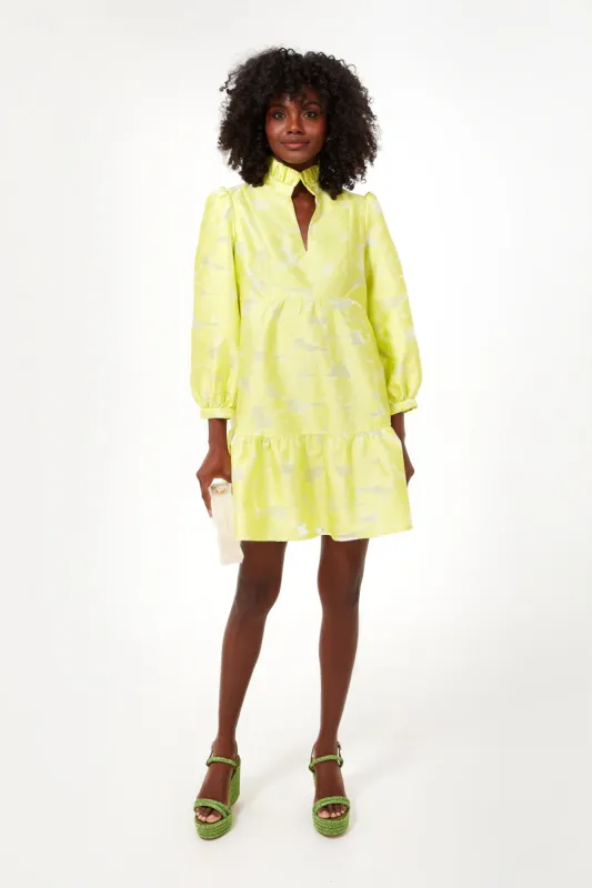 Citron Fil Coupe Palmerston Dress sold by Tuckernuck