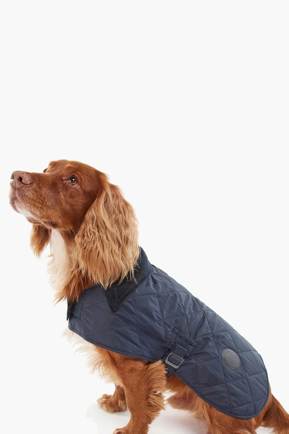 Navy Quilted Dog Coat sold by Tuckernuck product image thumbnail 2